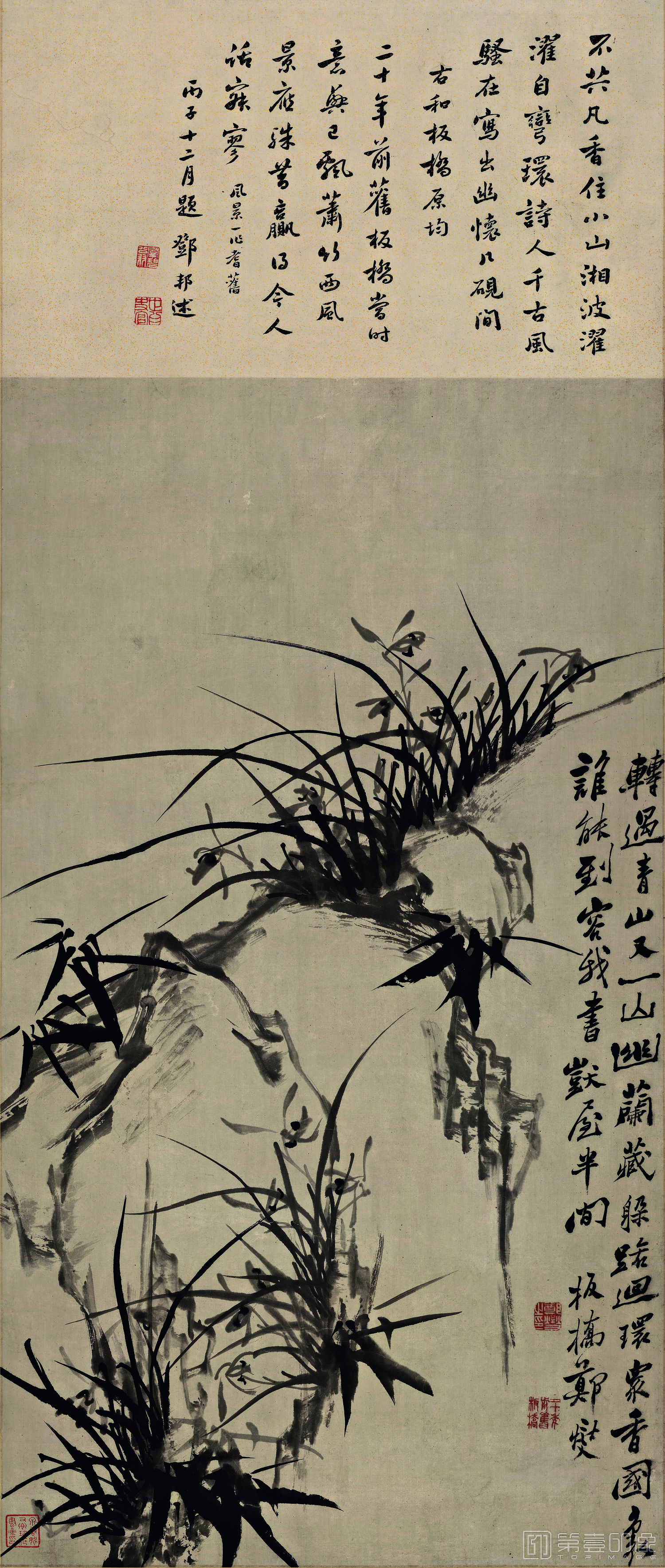 国画-幽兰图