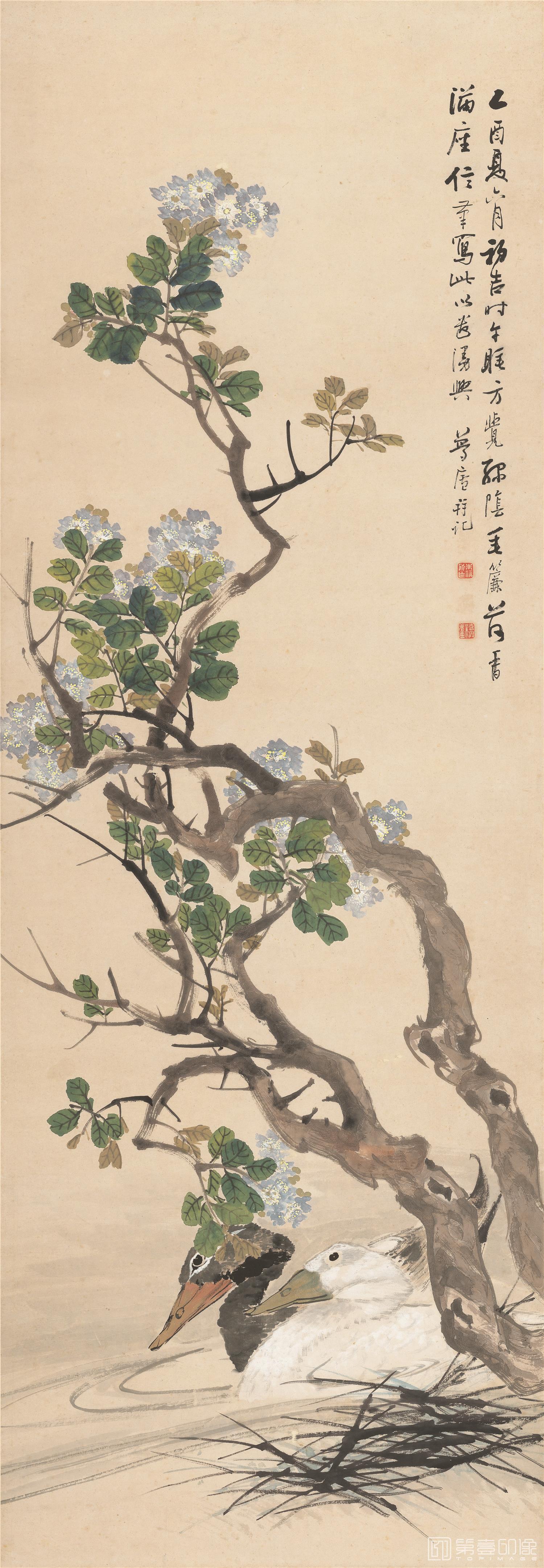 国画-紫薇双鸭图