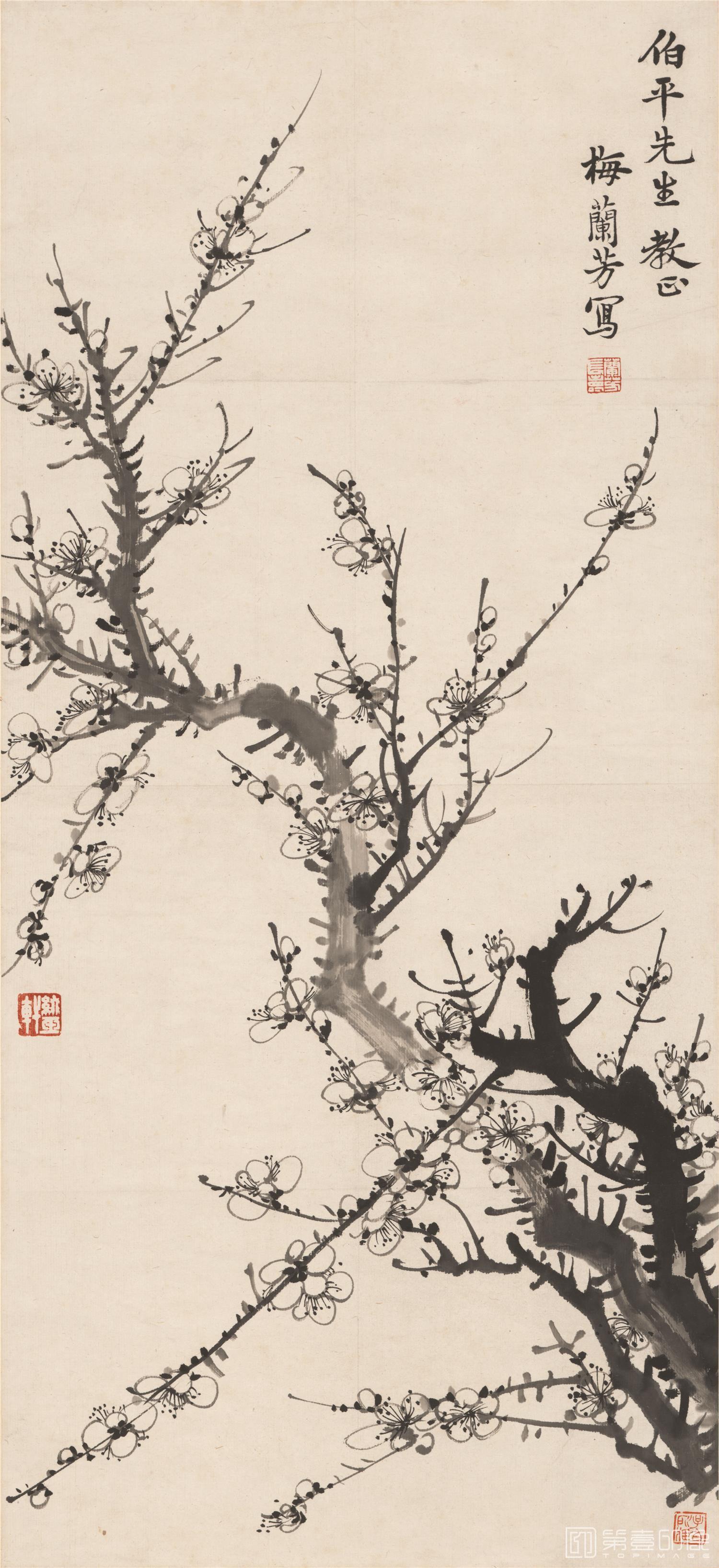 国画-墨梅图轴-33X71.9cm