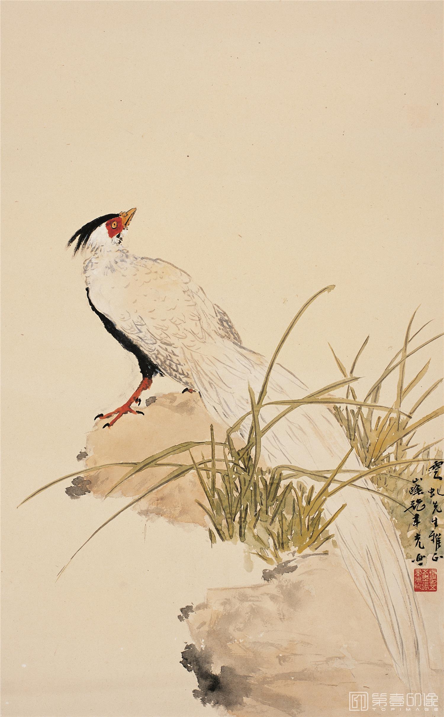 国画-锦鸡图