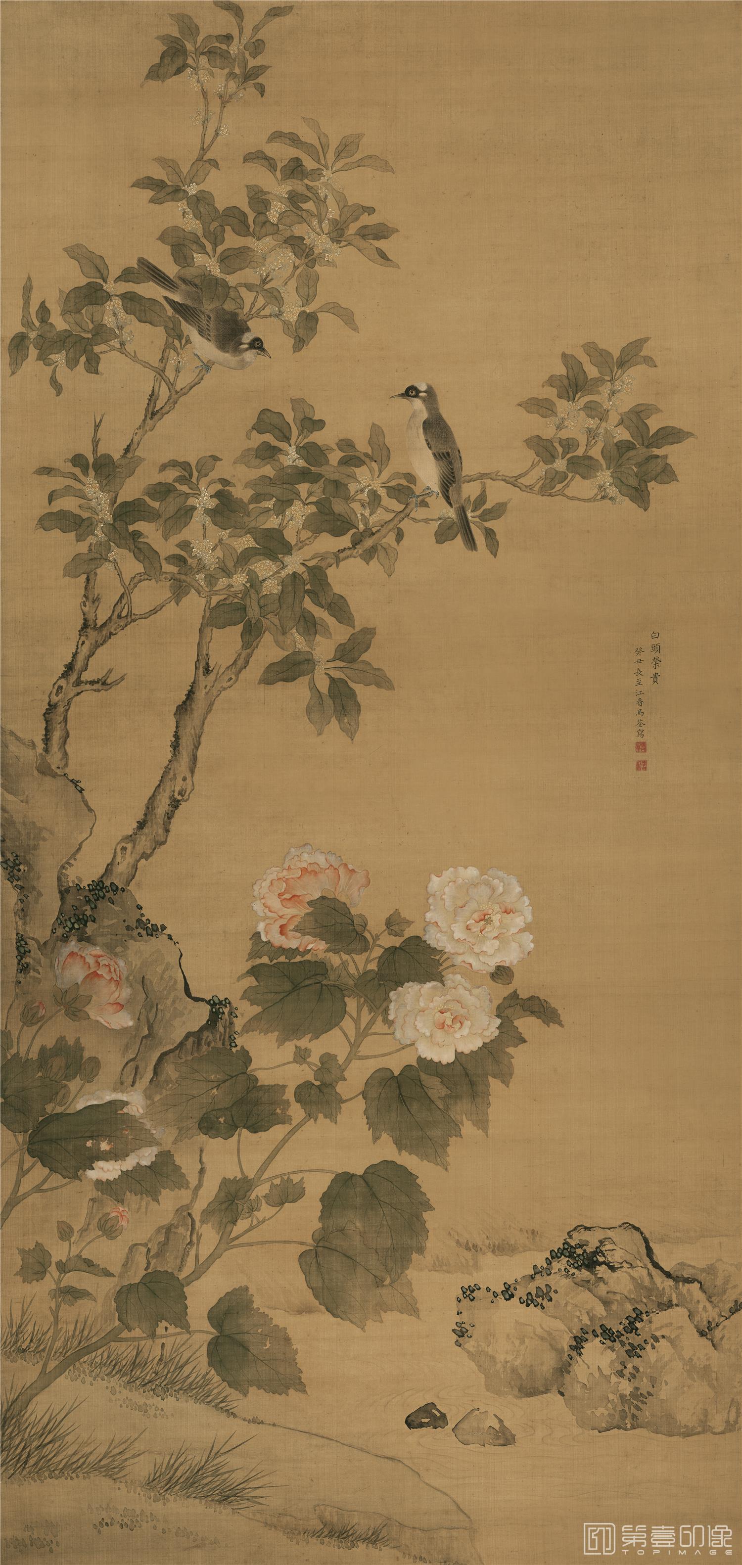 国画-白头荣贵图