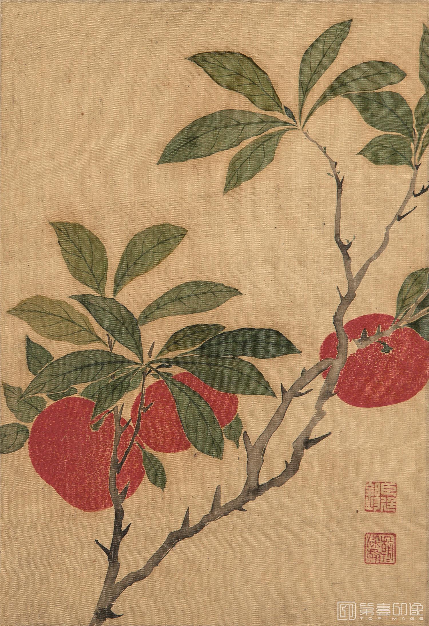 国画-花鸟册页-02