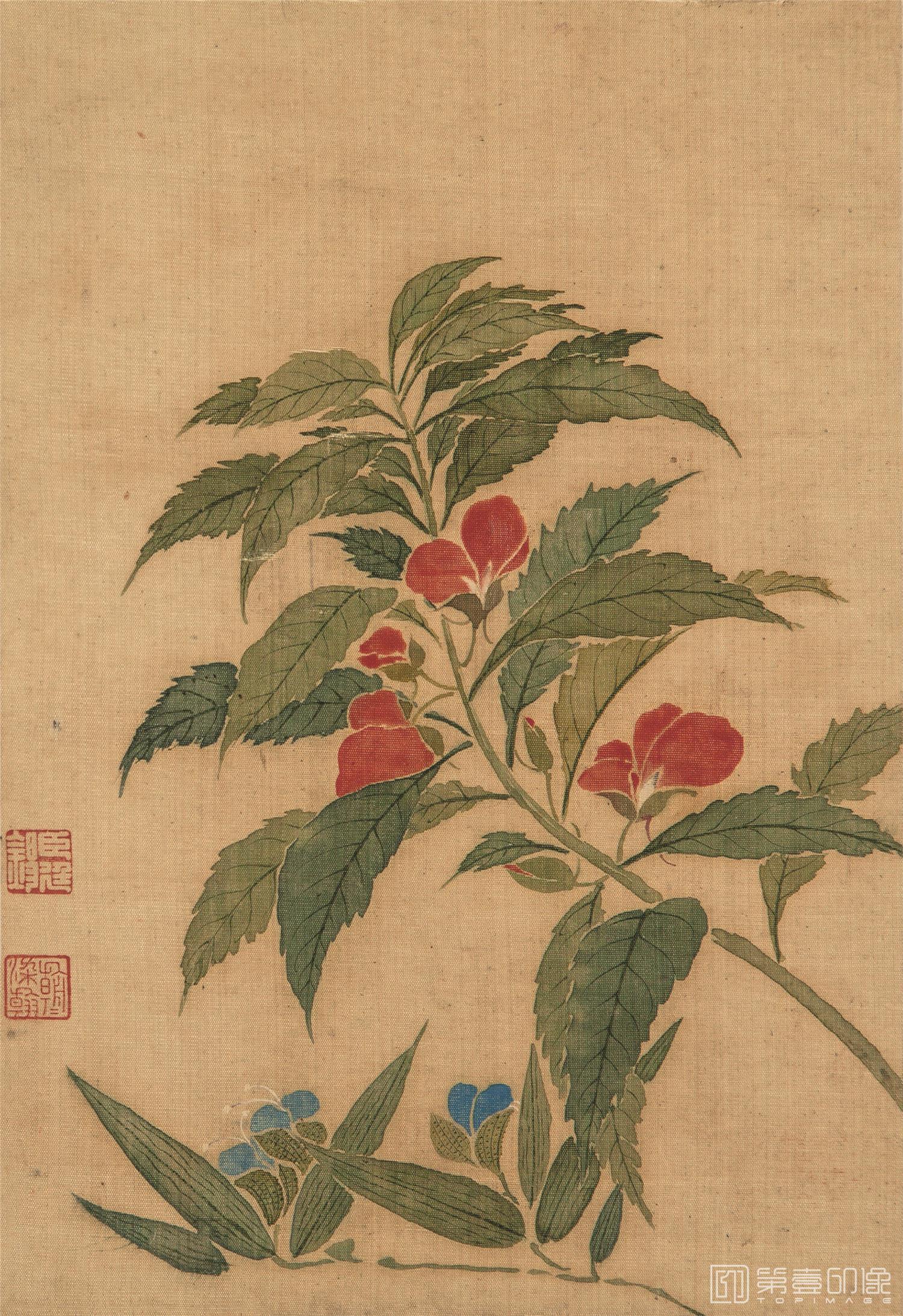 国画-花鸟册页-16