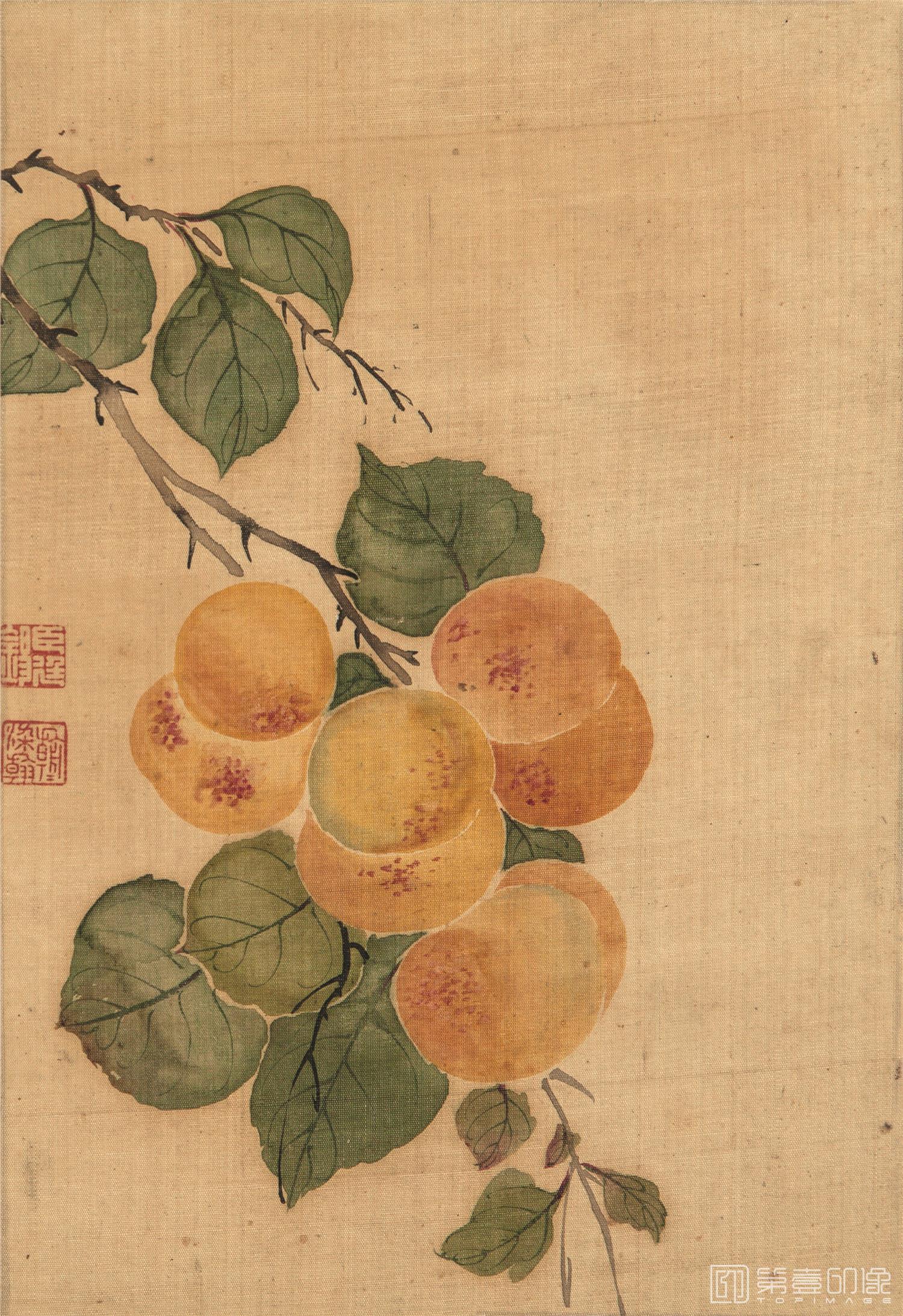 国画-花鸟册页-18
