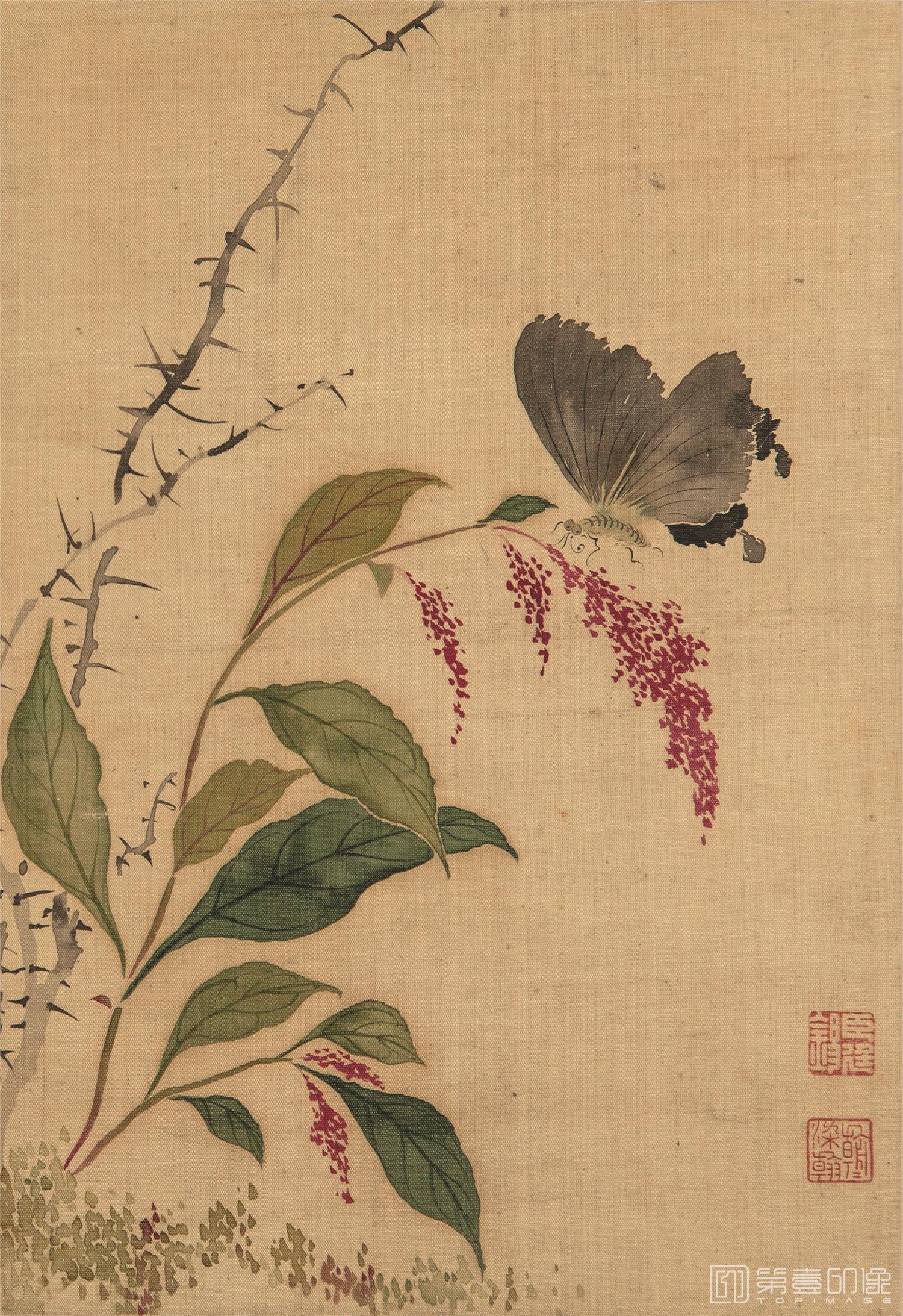 国画-花鸟册页-24