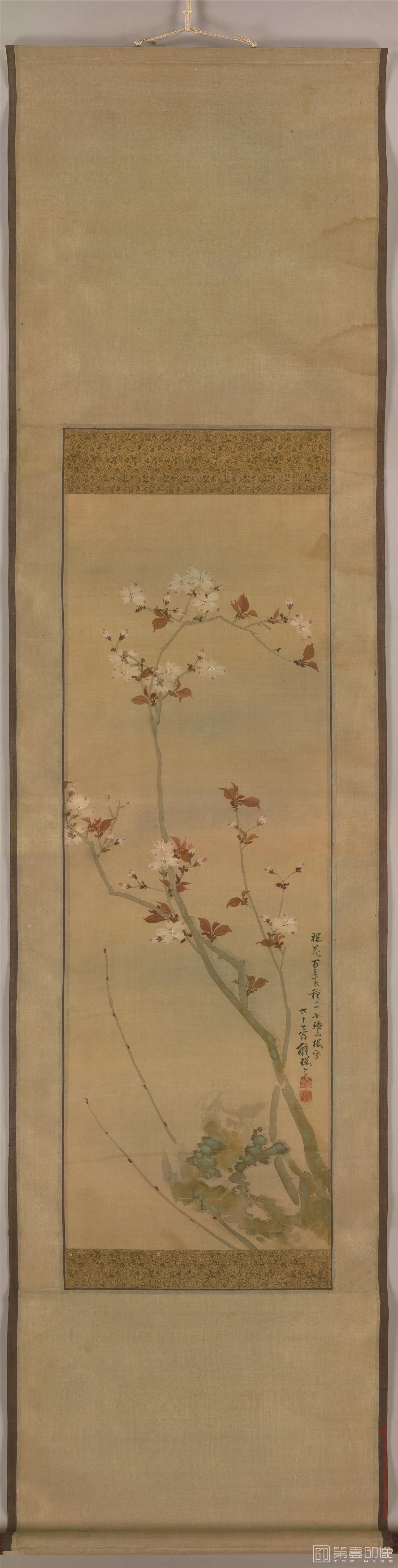 国画-樱花图立轴绢本-43x160cm