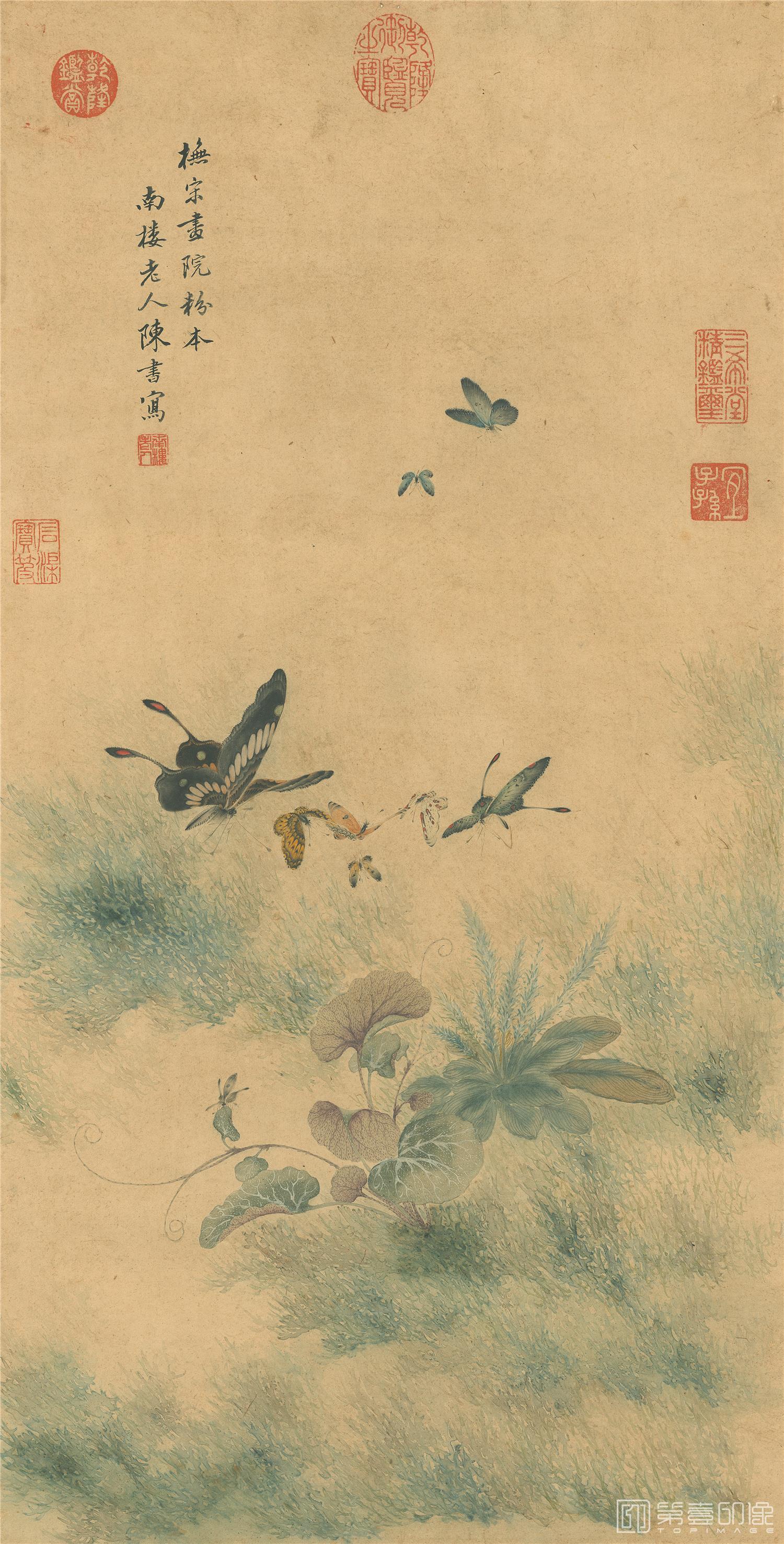 国画-蝶恋花卉轴33+65cm