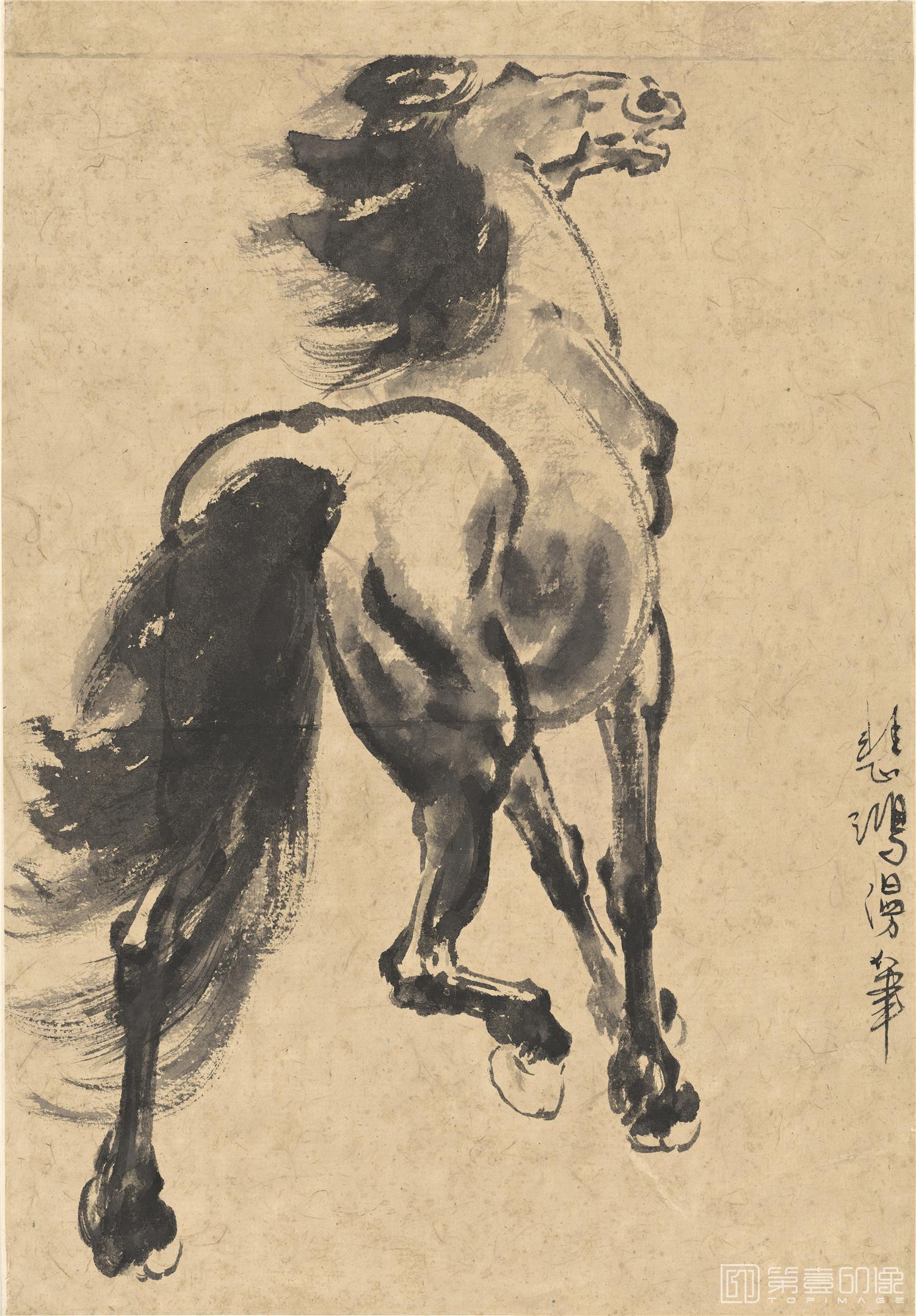 国画-马