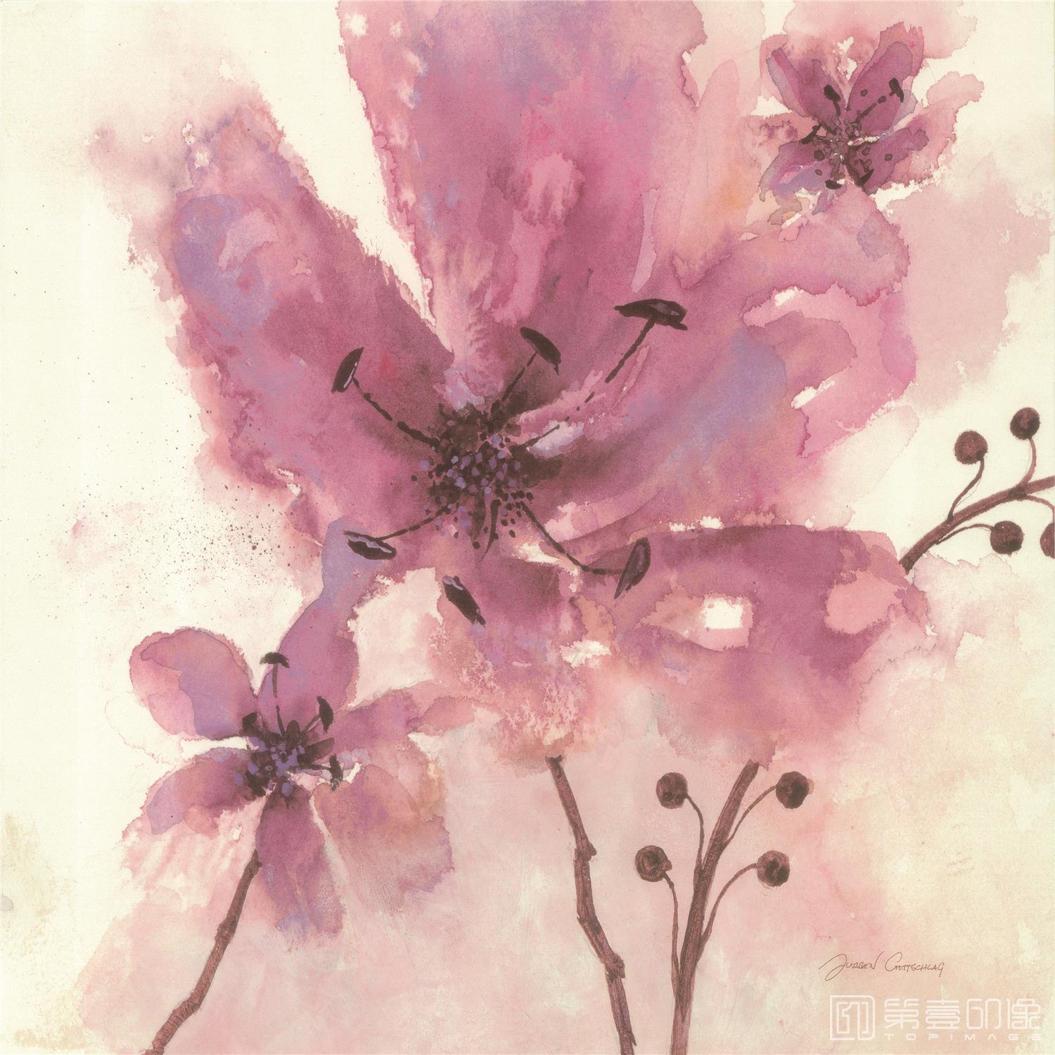 水彩画-合成图集-209