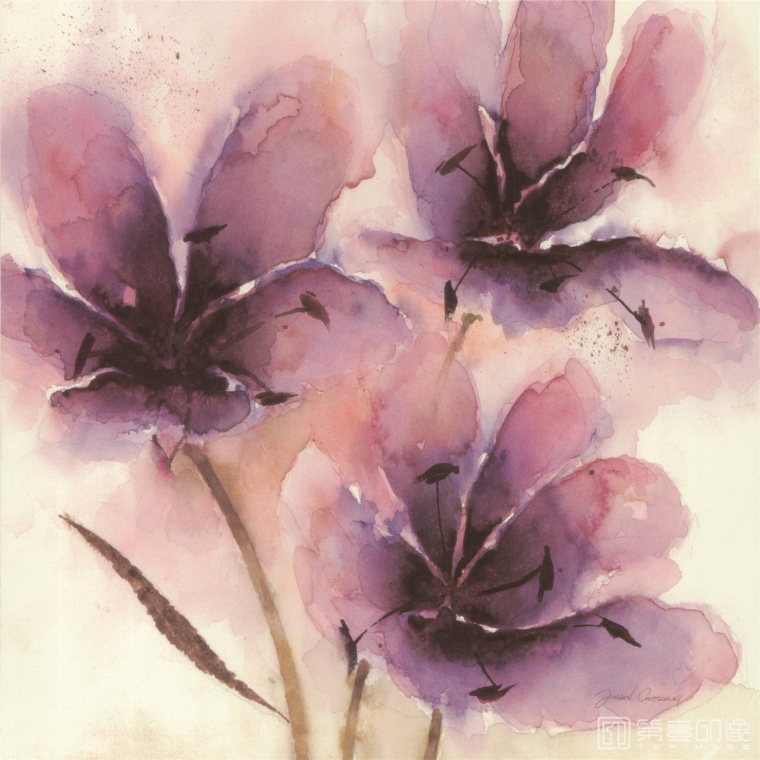 水彩画-合成图集-210