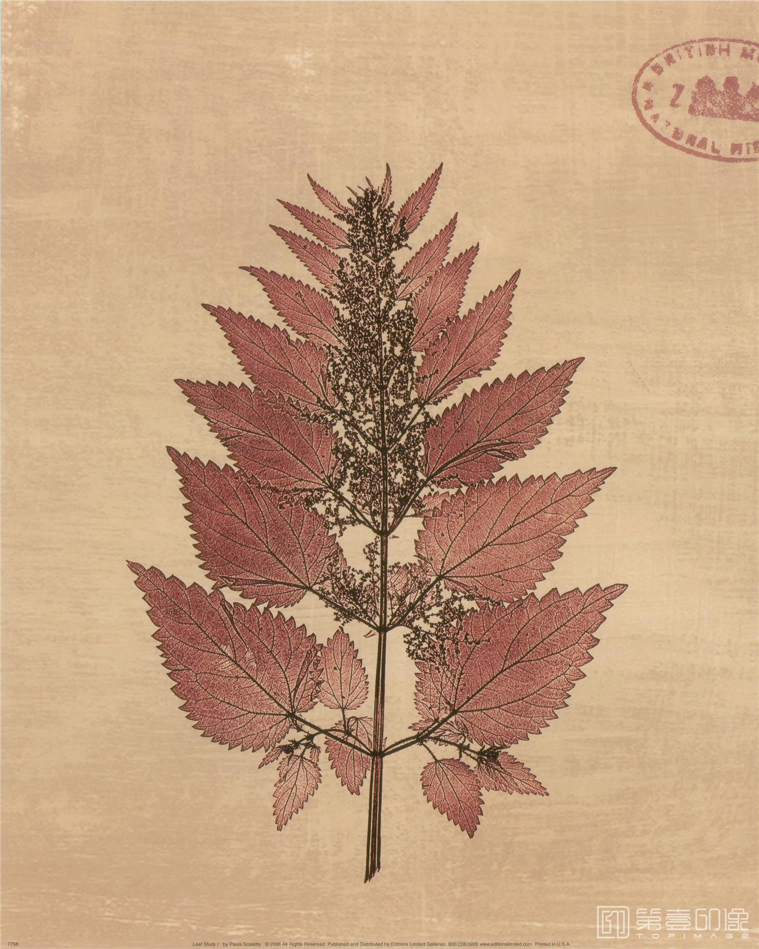 手绘-合成图集-261