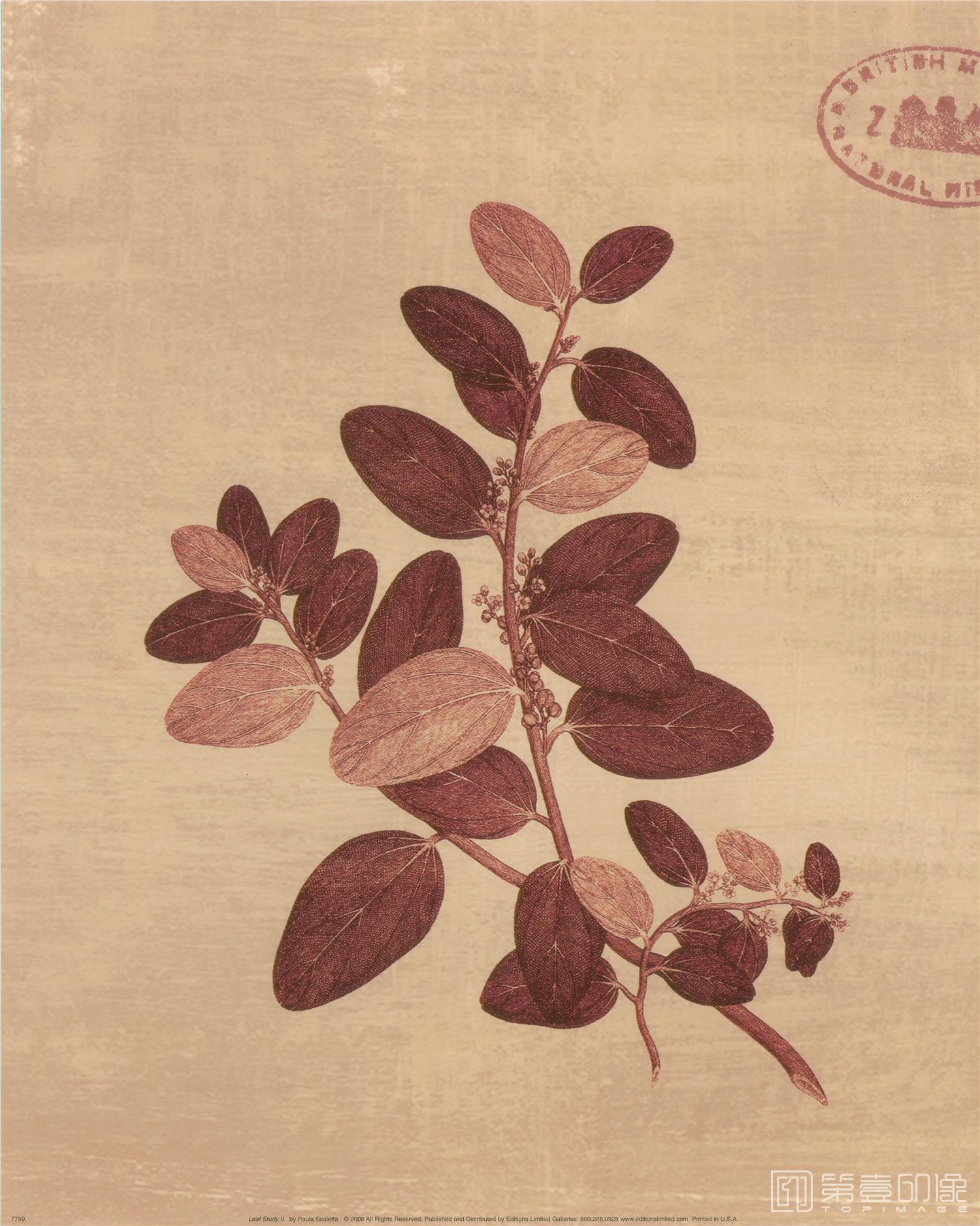 手绘-合成图集-262