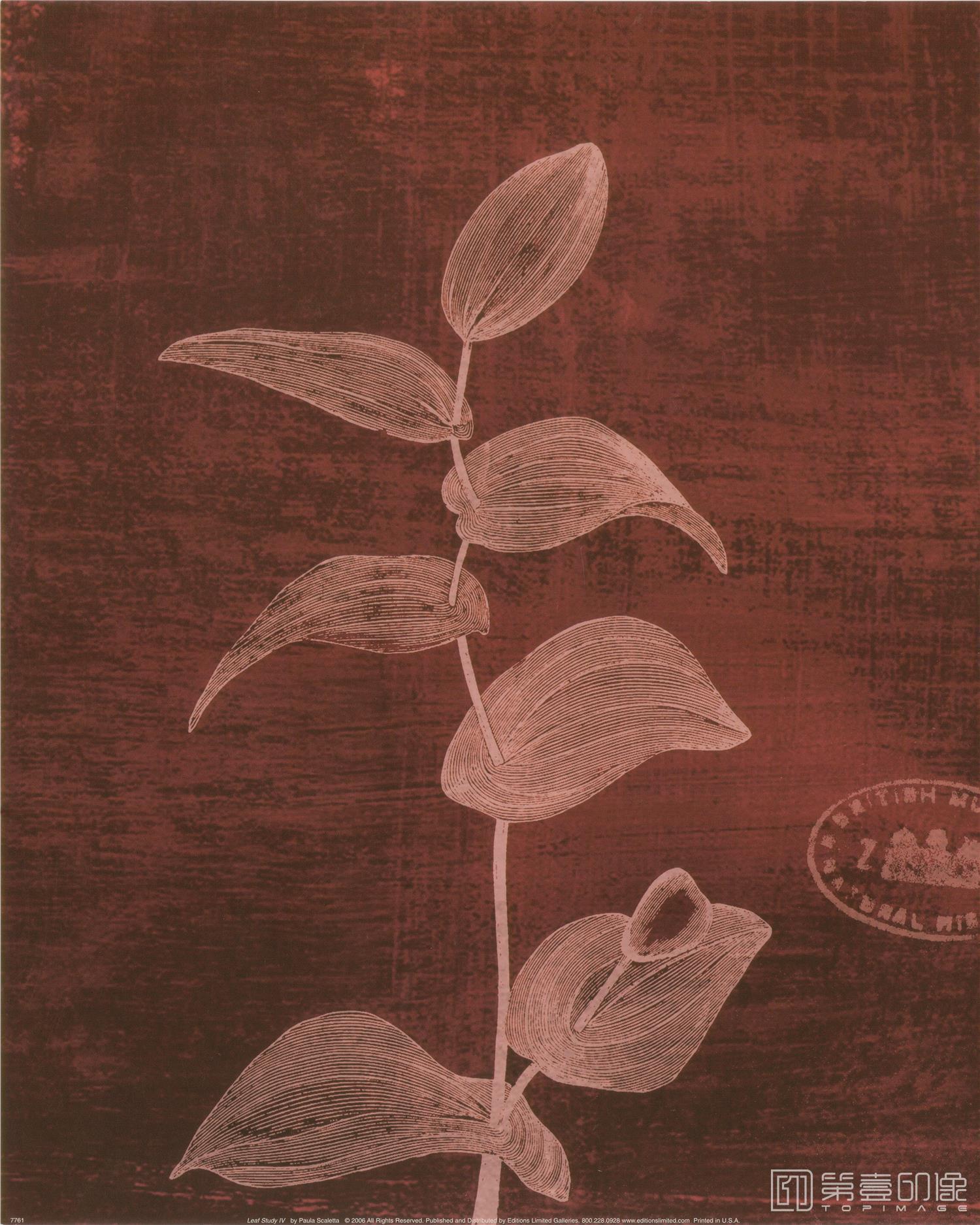 水彩画-合成图集-279