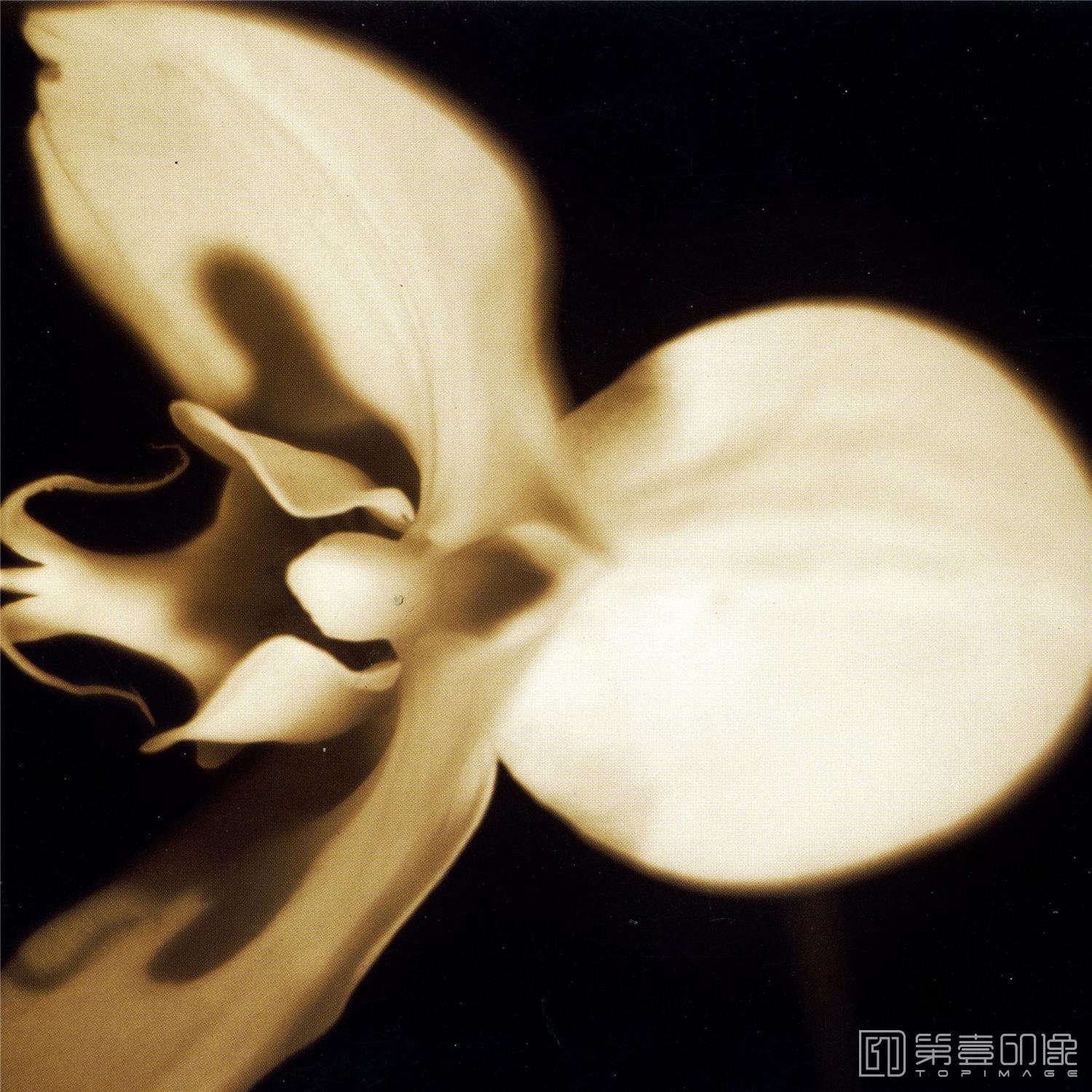 水彩画-合成图集-487