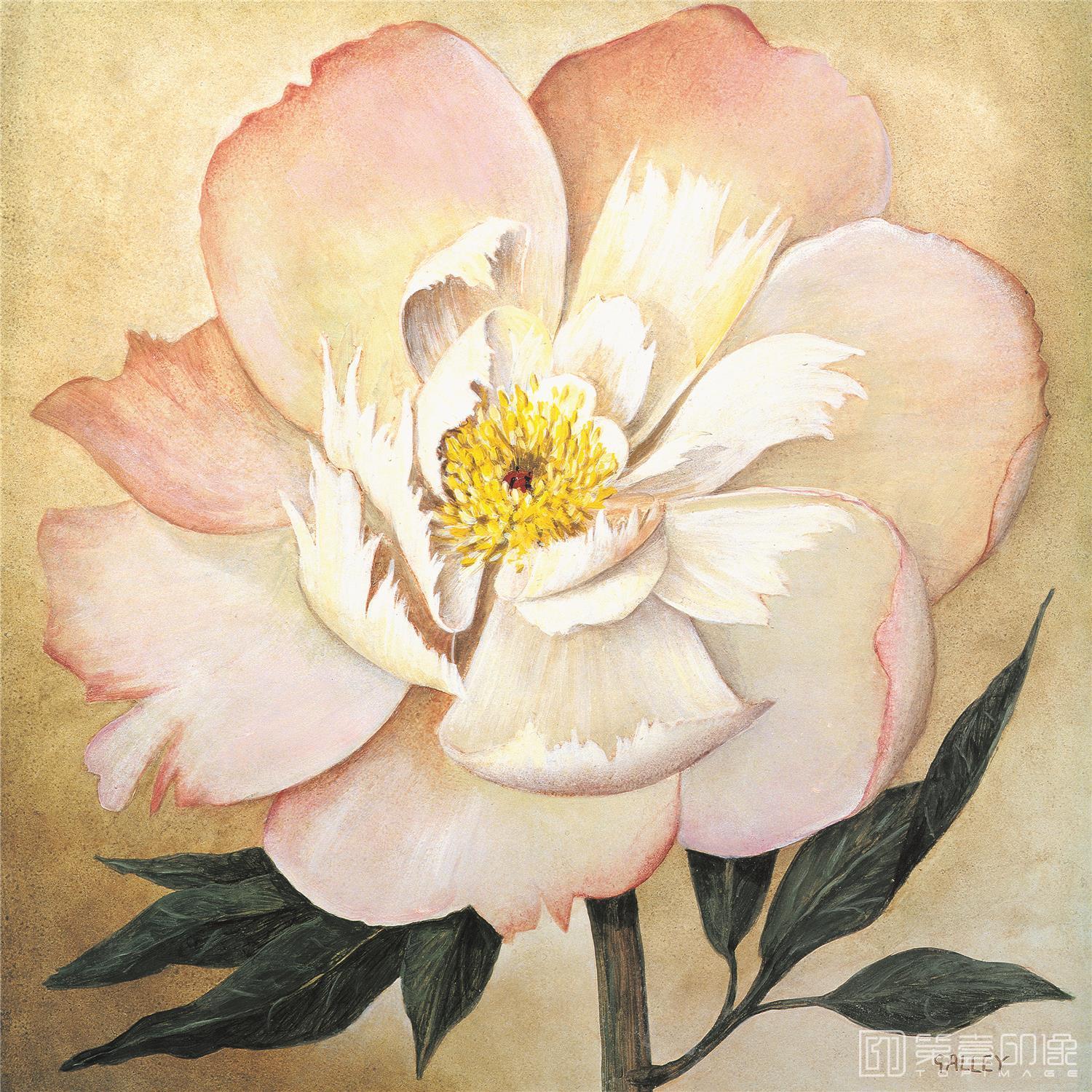 水彩画-合成图集-534