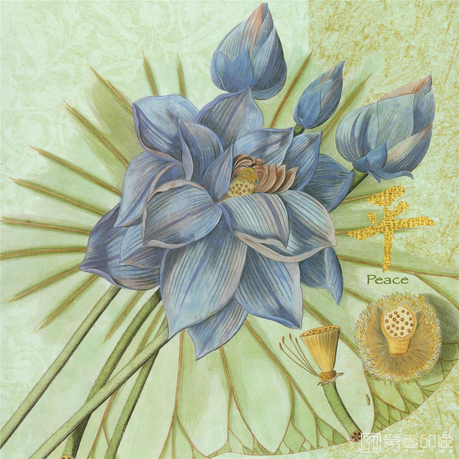 水彩画-合成图集-553