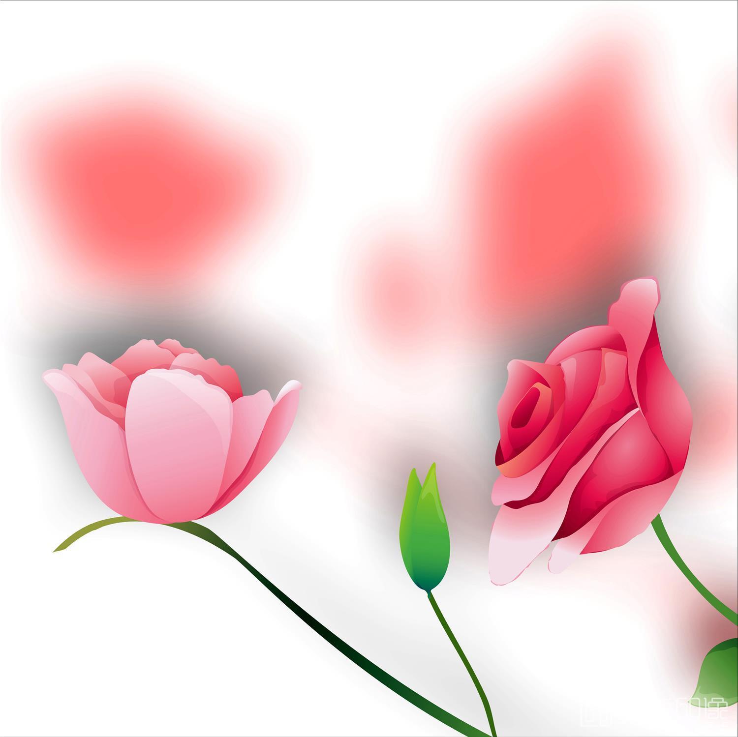 电脑绘画-套图-3联-花卉N-001