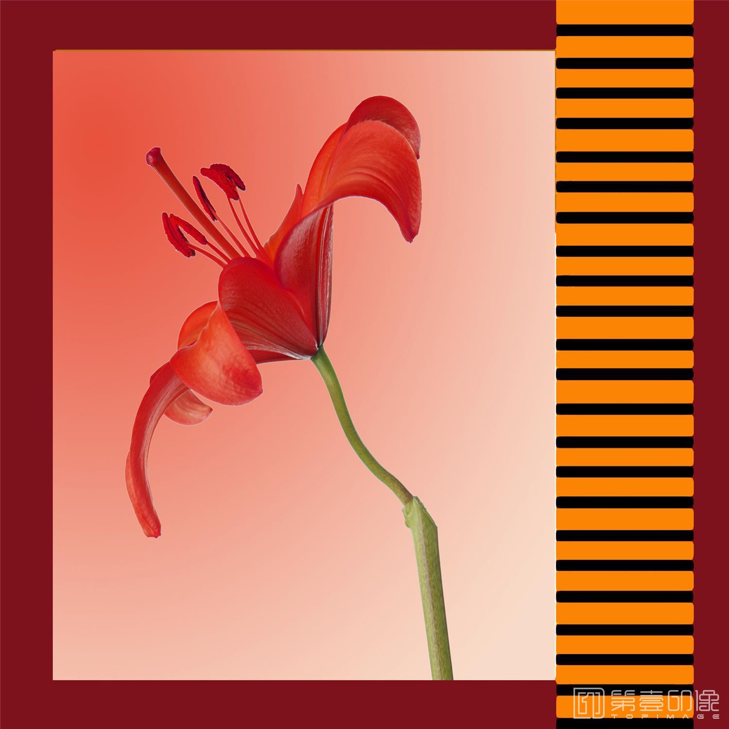 艺术设计-套图-3联-花-815
