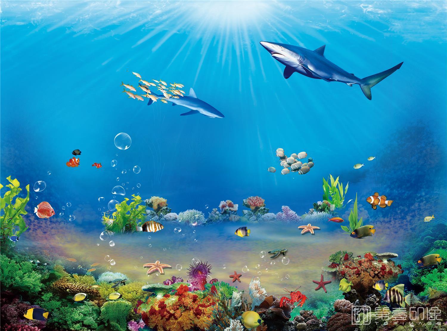 电脑绘画-海底世界-007