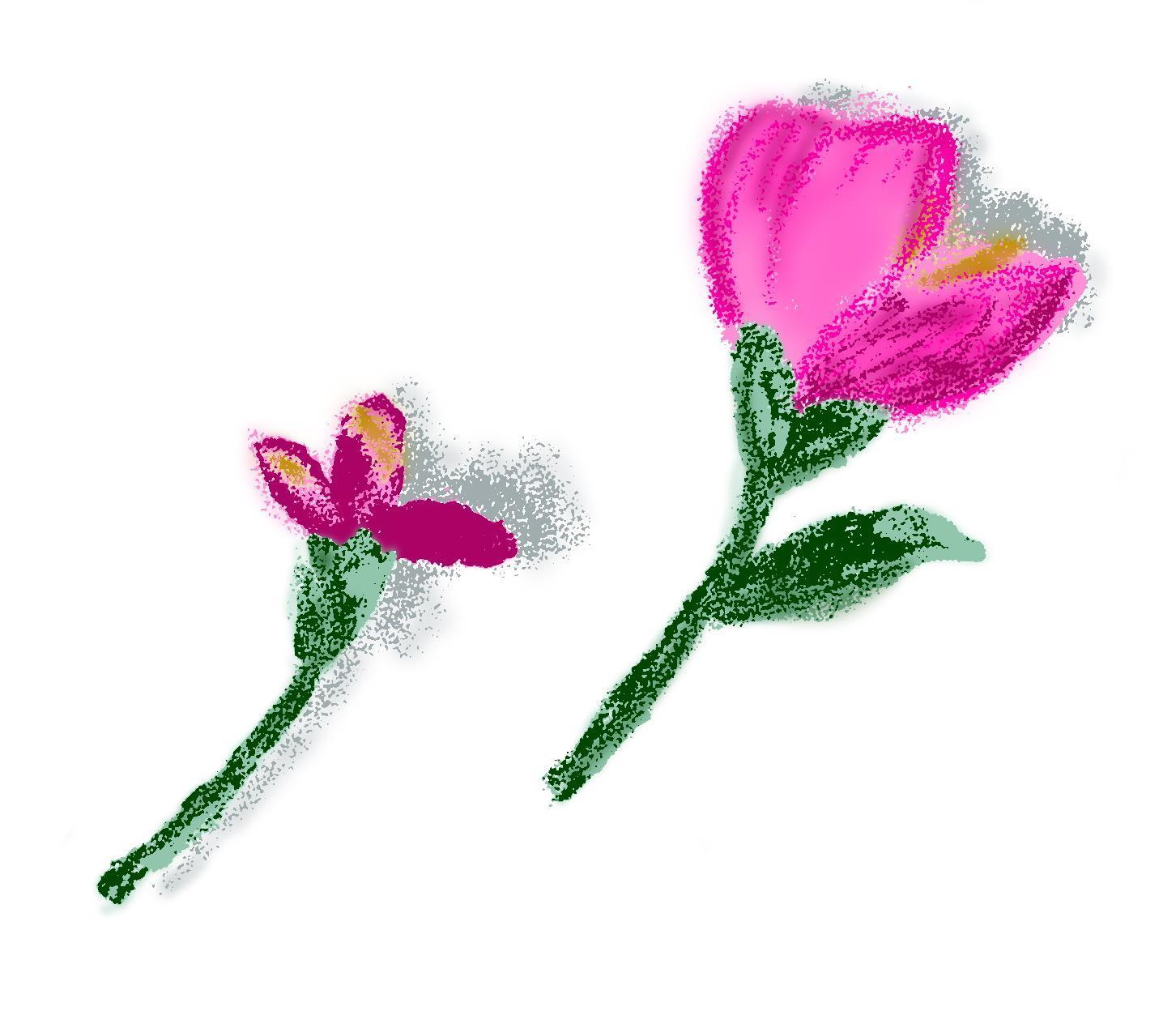 水彩画-花卉与文字-0352
