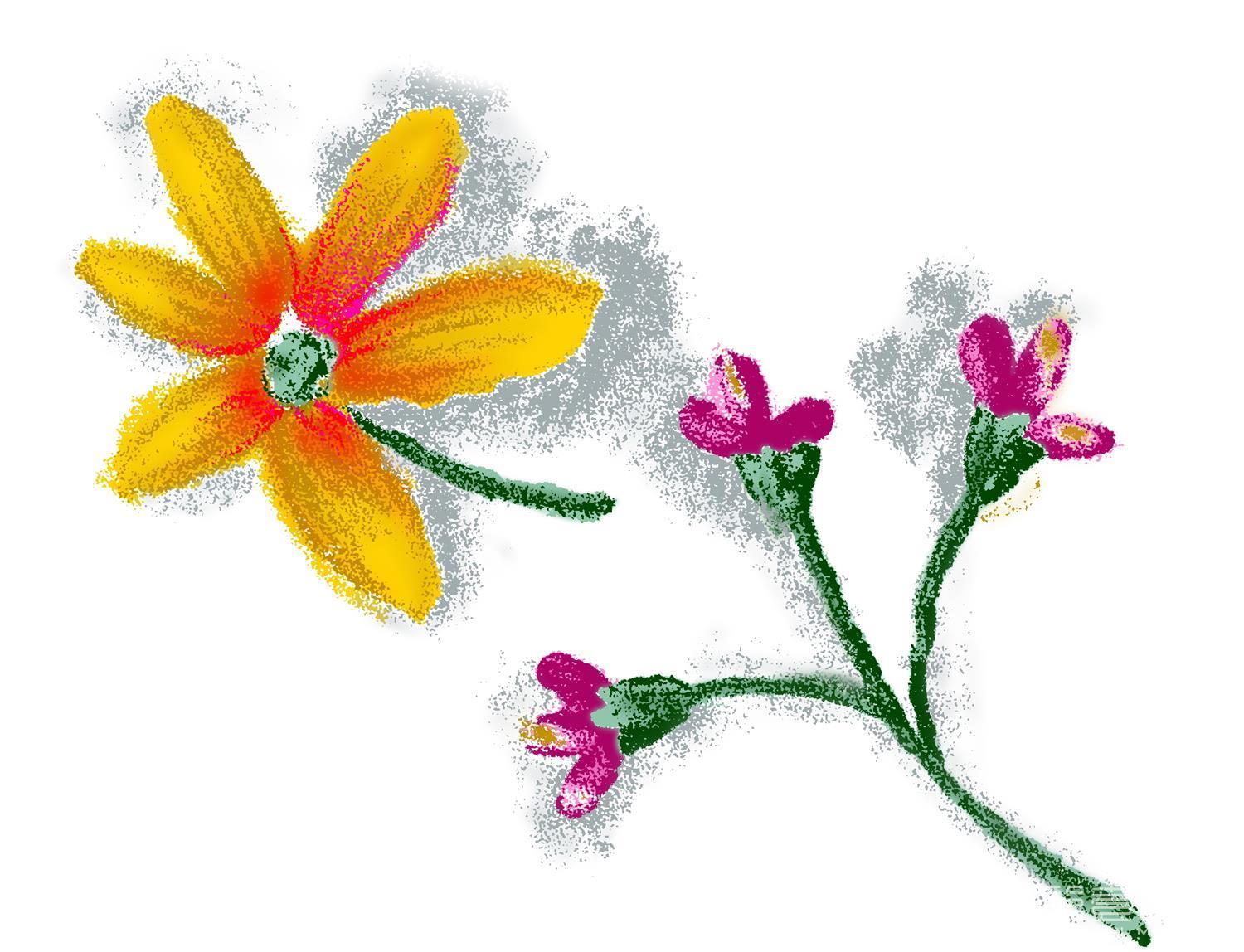 水彩画-花卉与文字-0407