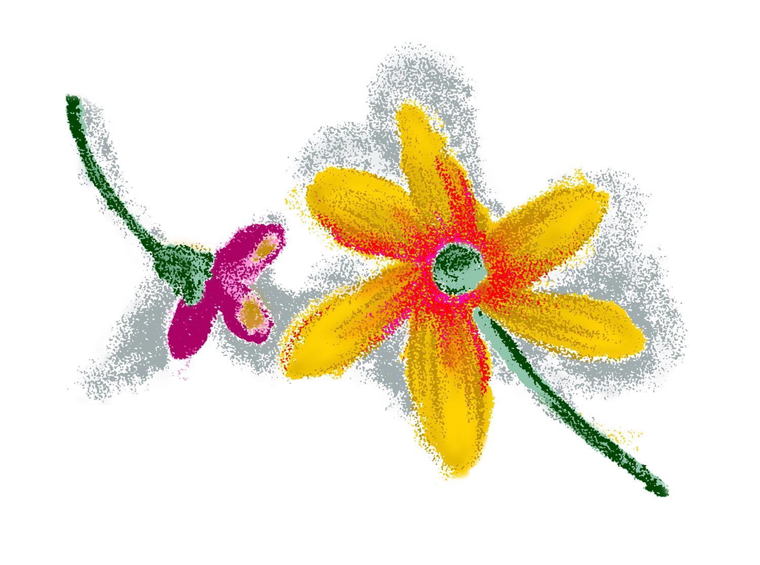水彩画-花卉与文字-0418