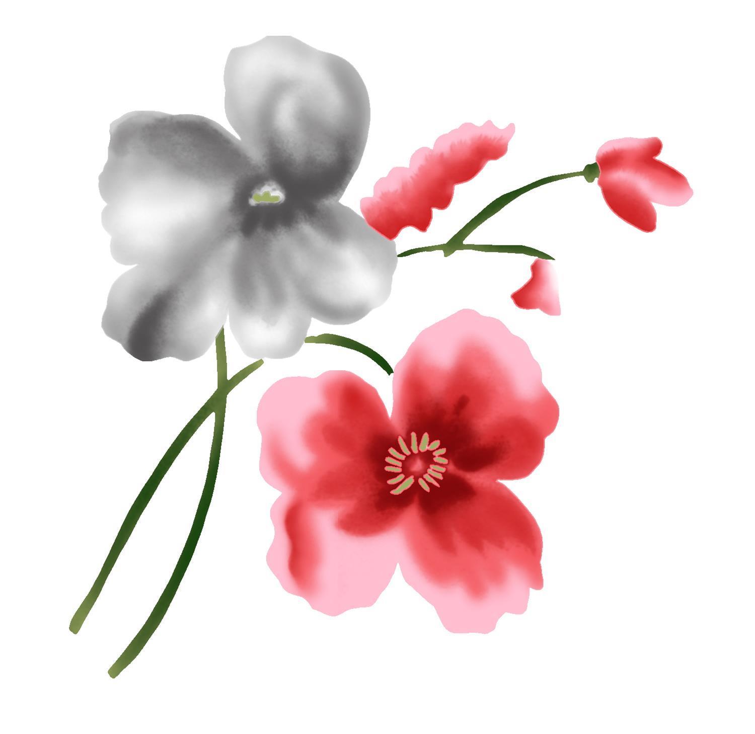 水彩画-花卉与文字-0530