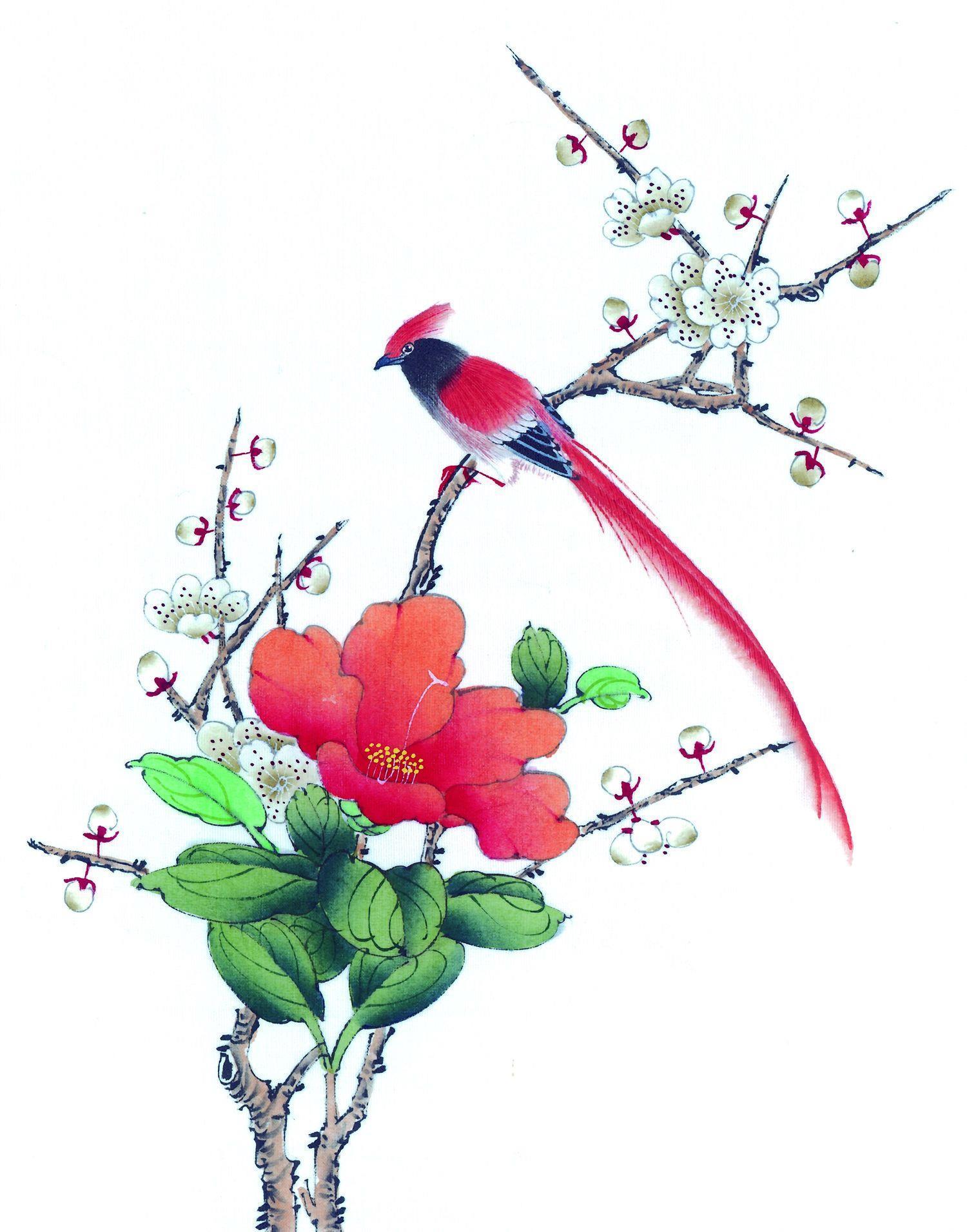 水彩画-动物花鸟-044