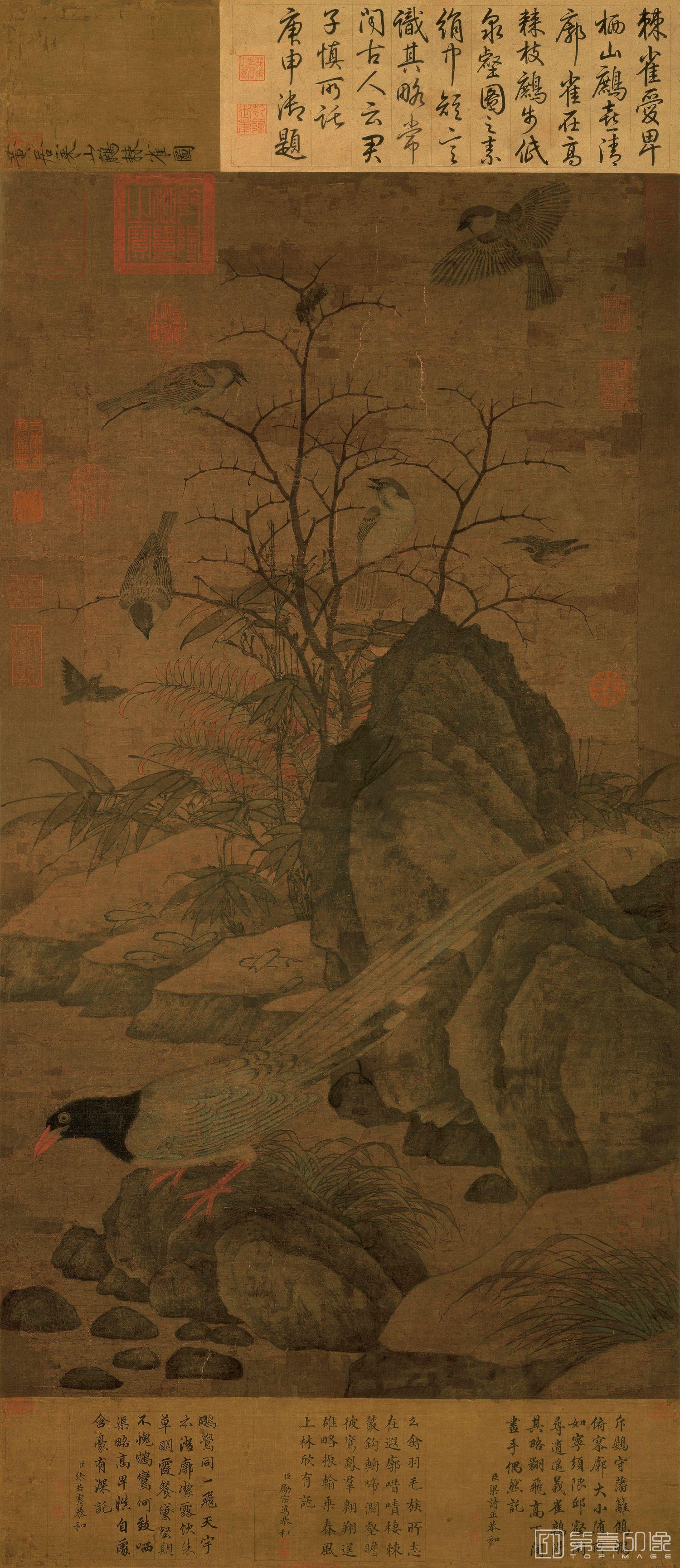 国画-山鹧棘雀图-97x53.6