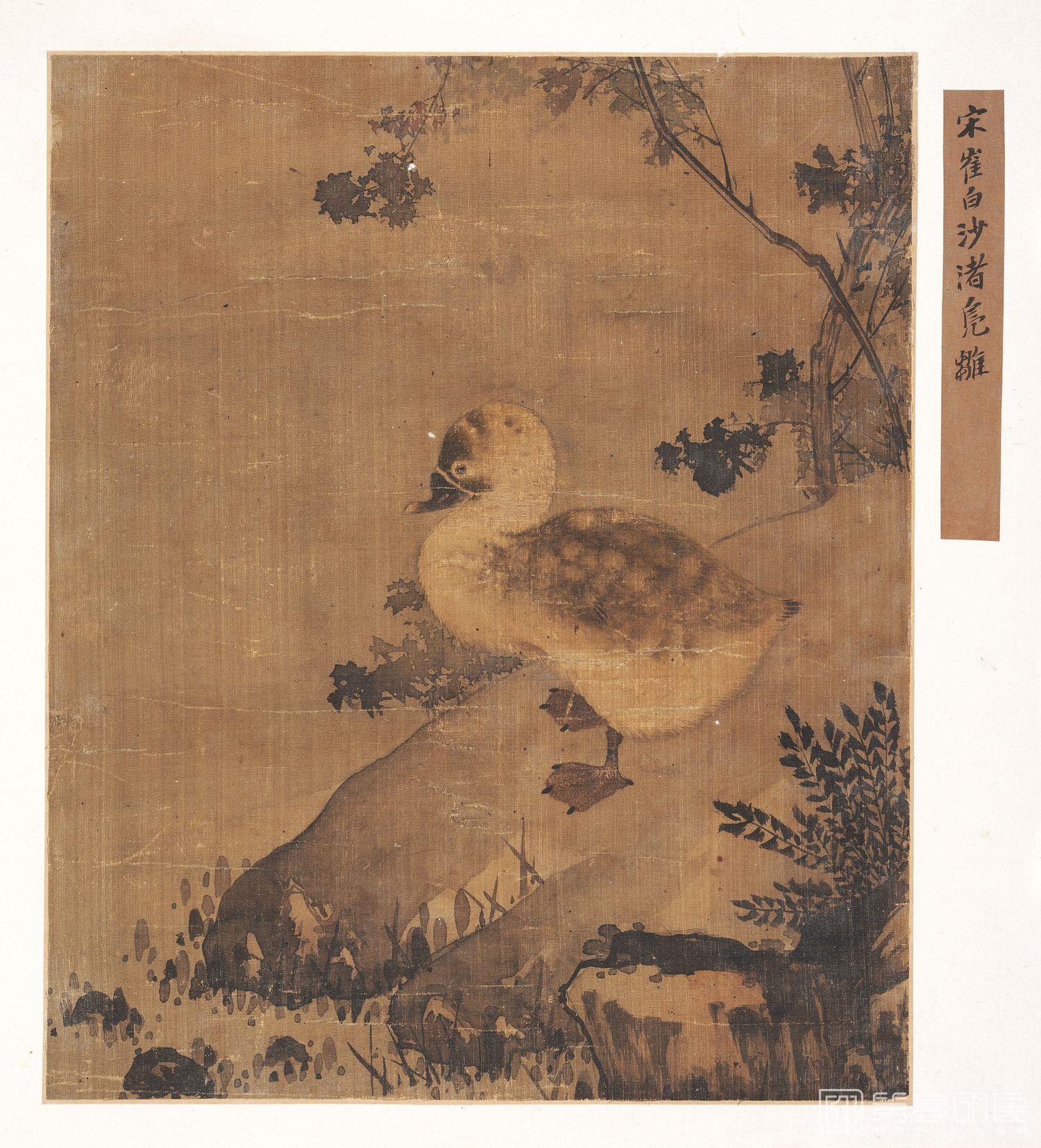 国画-沙渚凫雏图册页