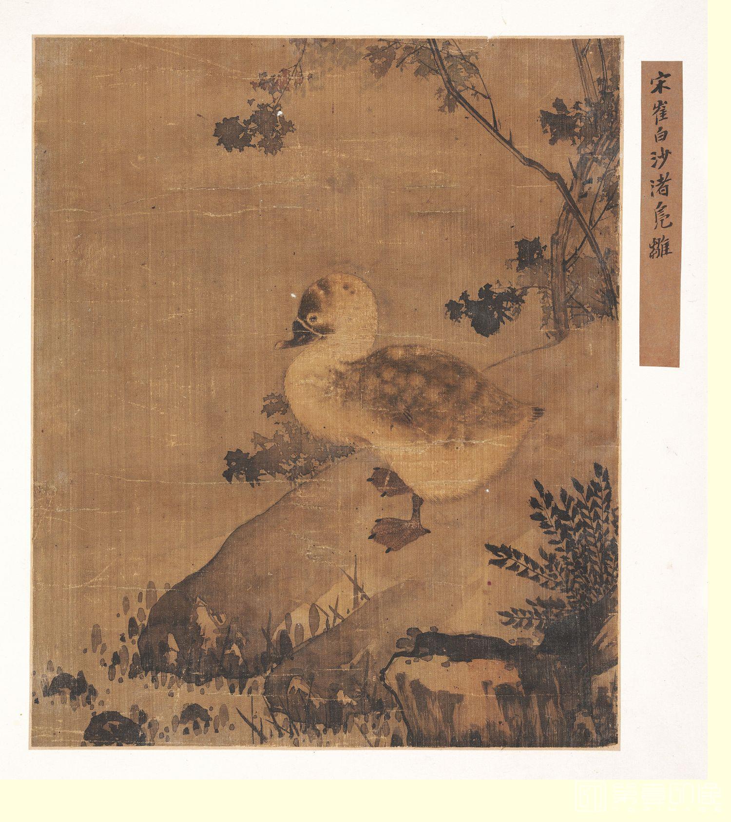 国画-沙渚凫雏图册页HD-31.4 x25.7