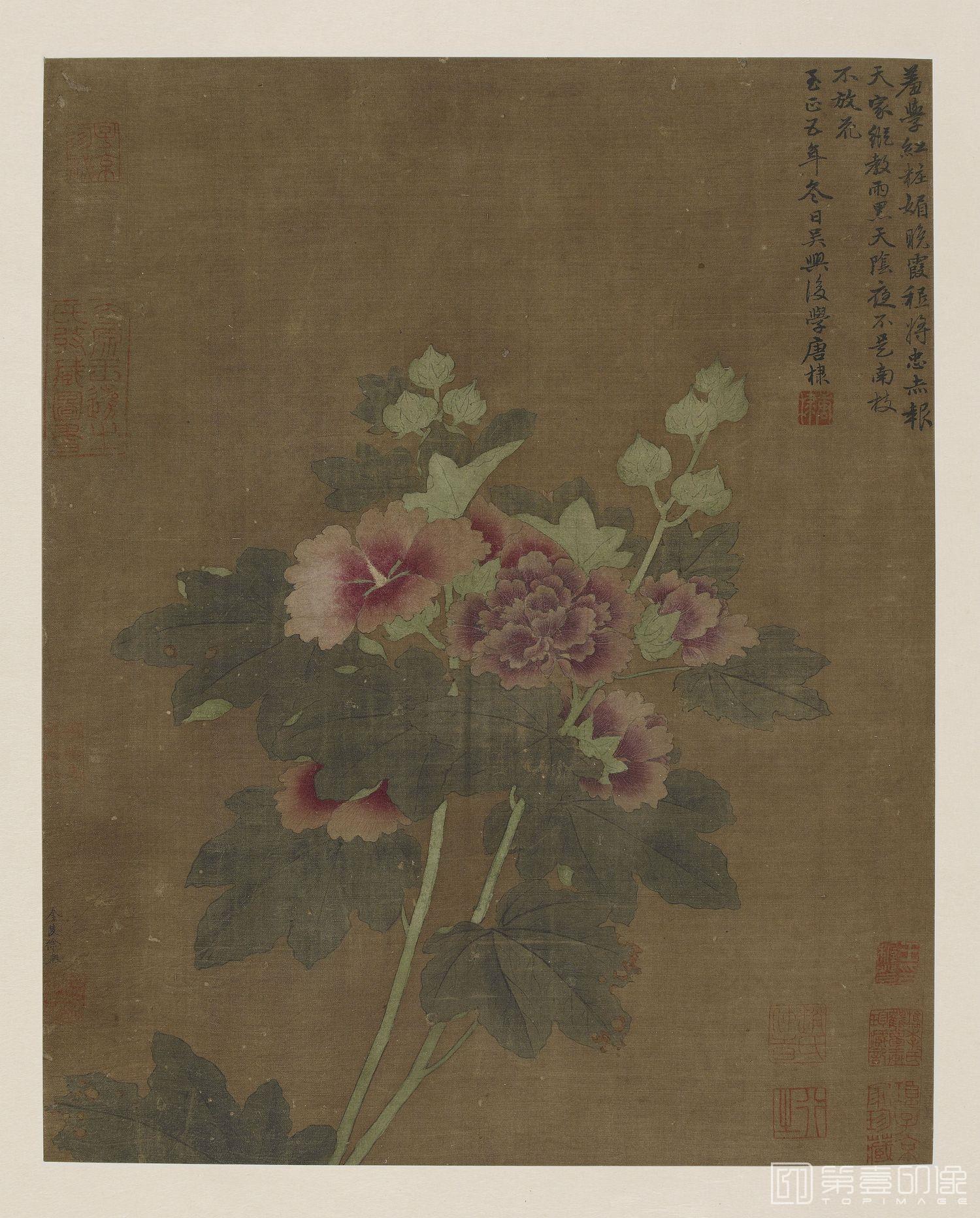 国画-牡丹花卉图页-41x33