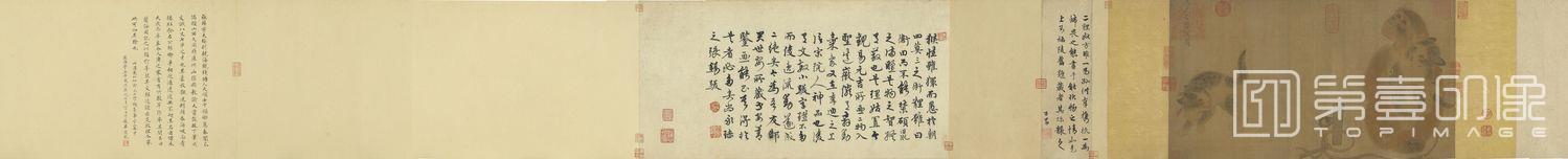 国画-猴猫图卷