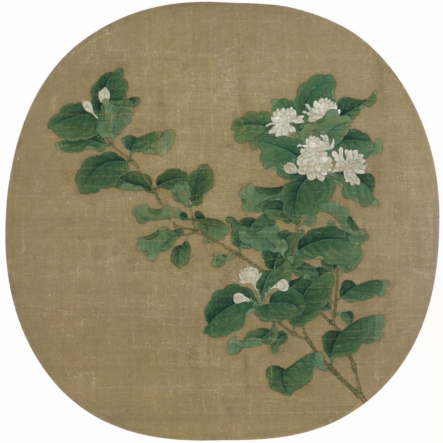 国画-茉莉花图