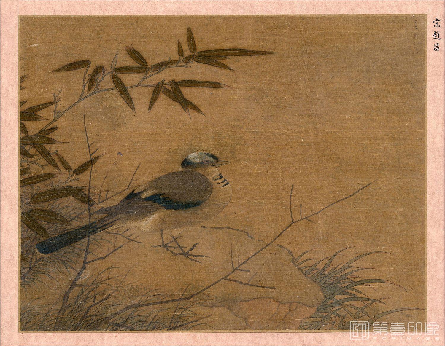 国画-鸟图-23x30