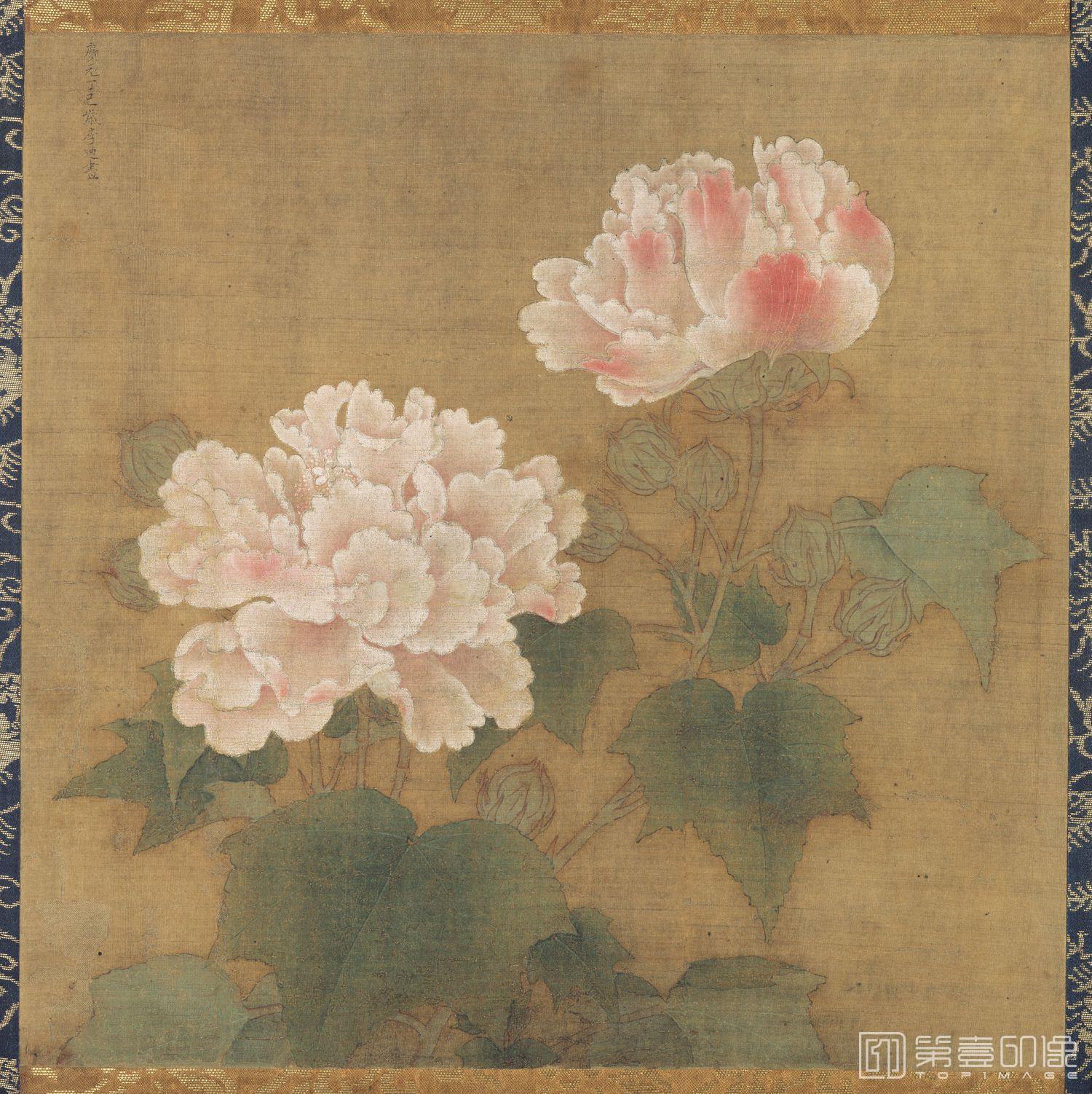 国画-红白芙蓉图 (二)-25.1x25.4