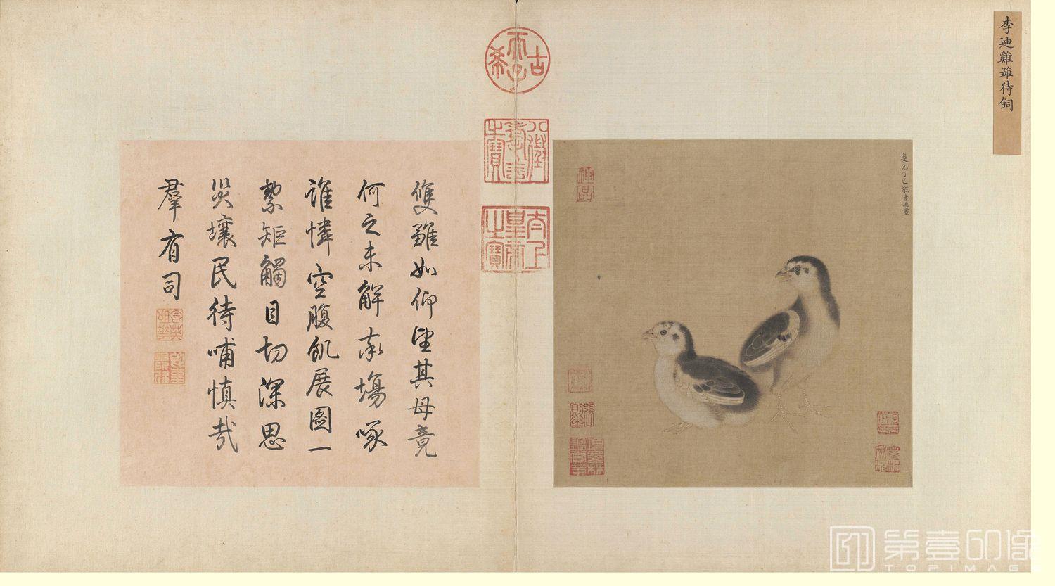 国画-鸡雏待饲图页