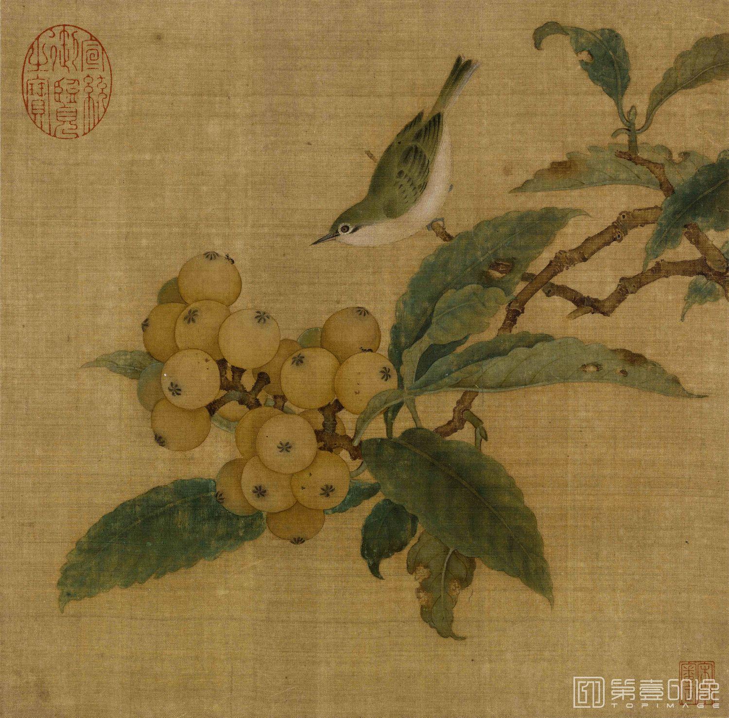 国画-枇杷山鸟图-27.2x27.6