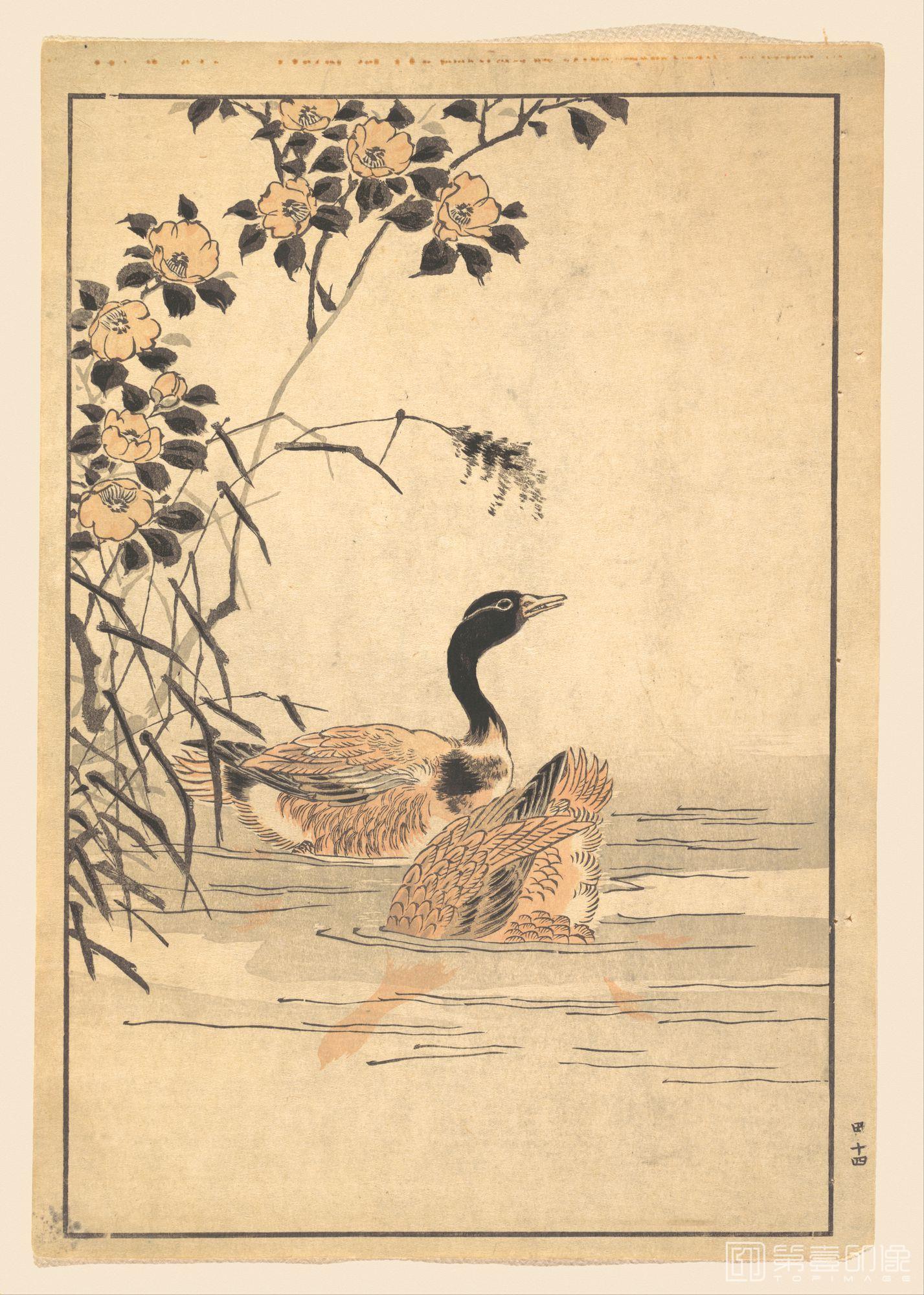 手绘-日本-浮世绘-DP143142