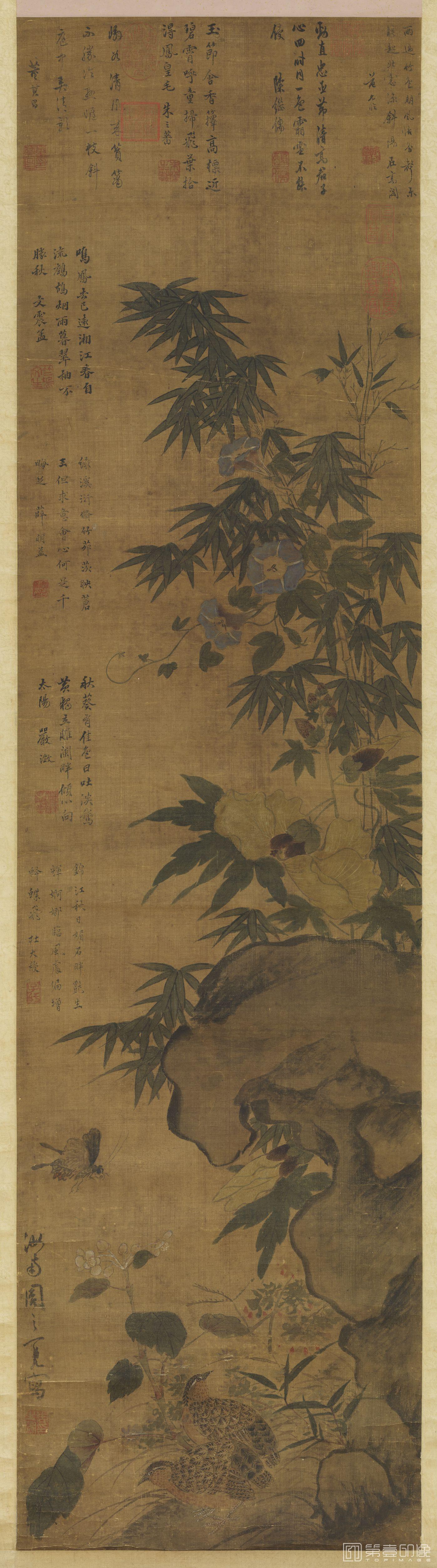 国画-花竹鹌鹑轴