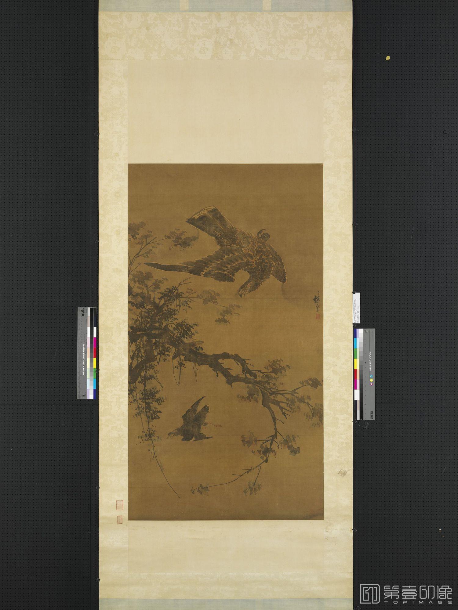国画-秋鹰轴-305X97.6