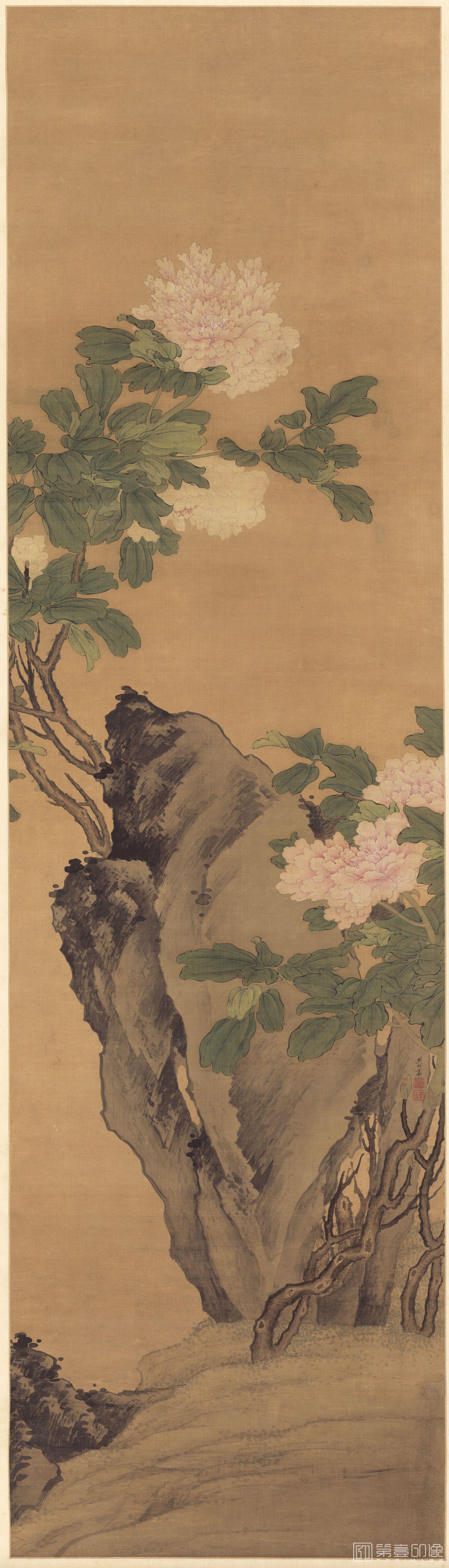 国画-设色牡丹轴-48.5x169.5