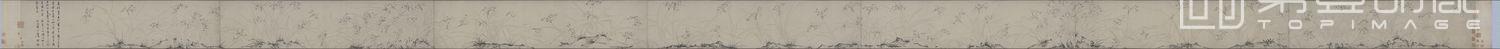 国画-仿赵孟坚水仙图-36×1067.3