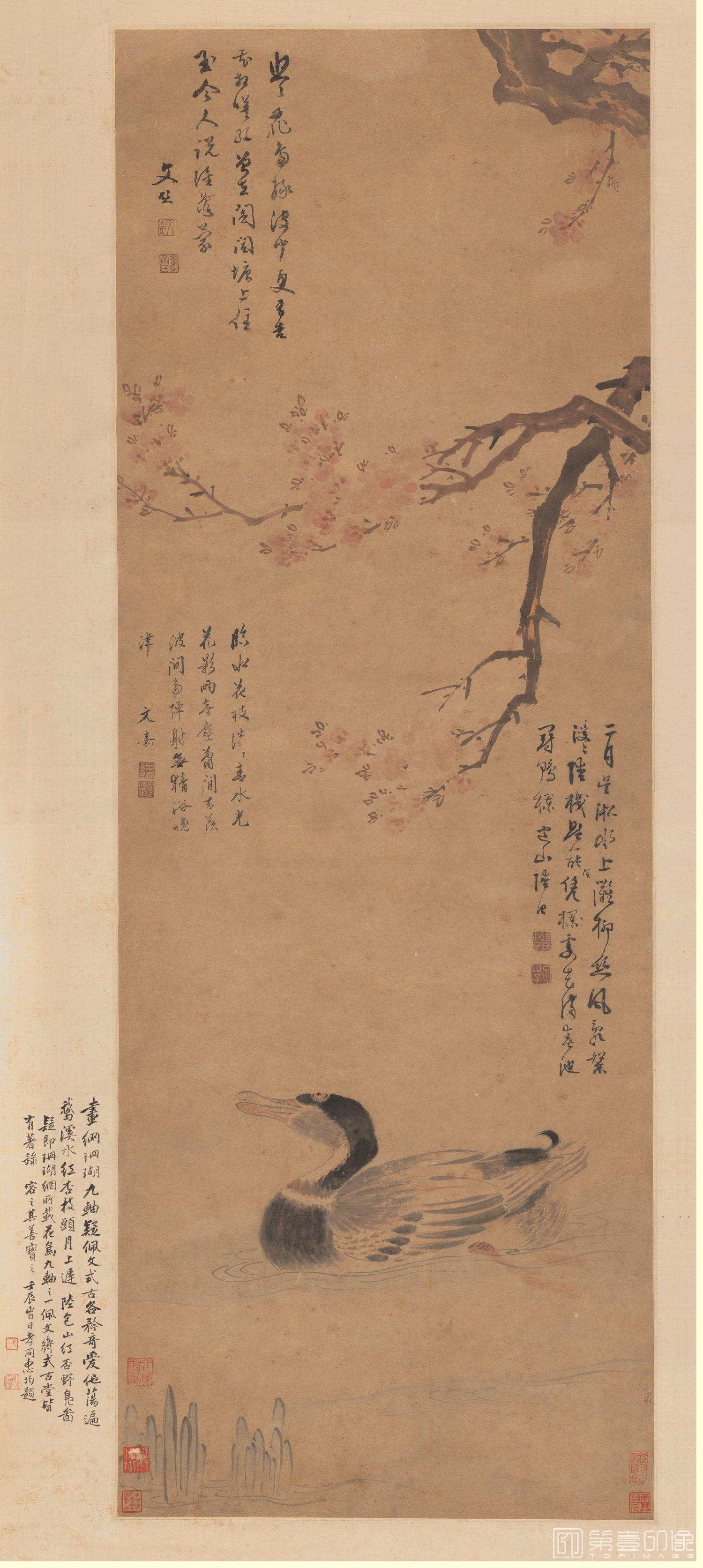国画-红杏野凫图轴全卷-125x55