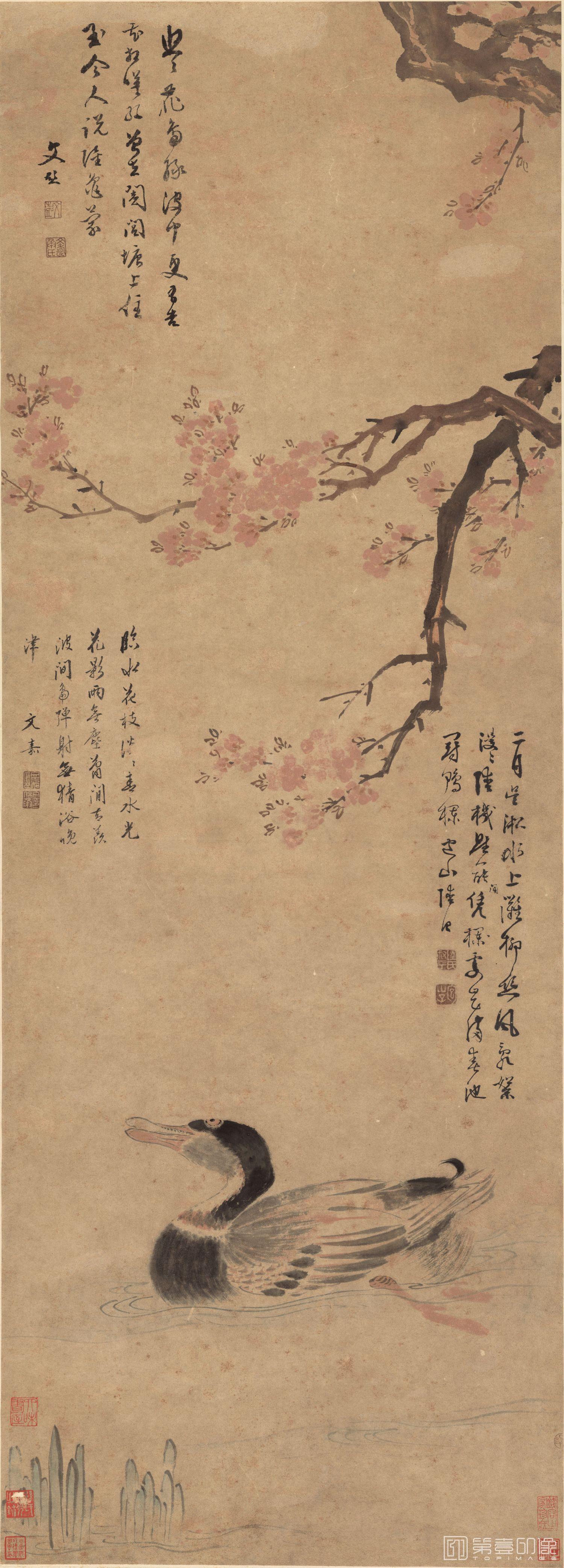 国画-红杏野凫图轴-43.1x119.7