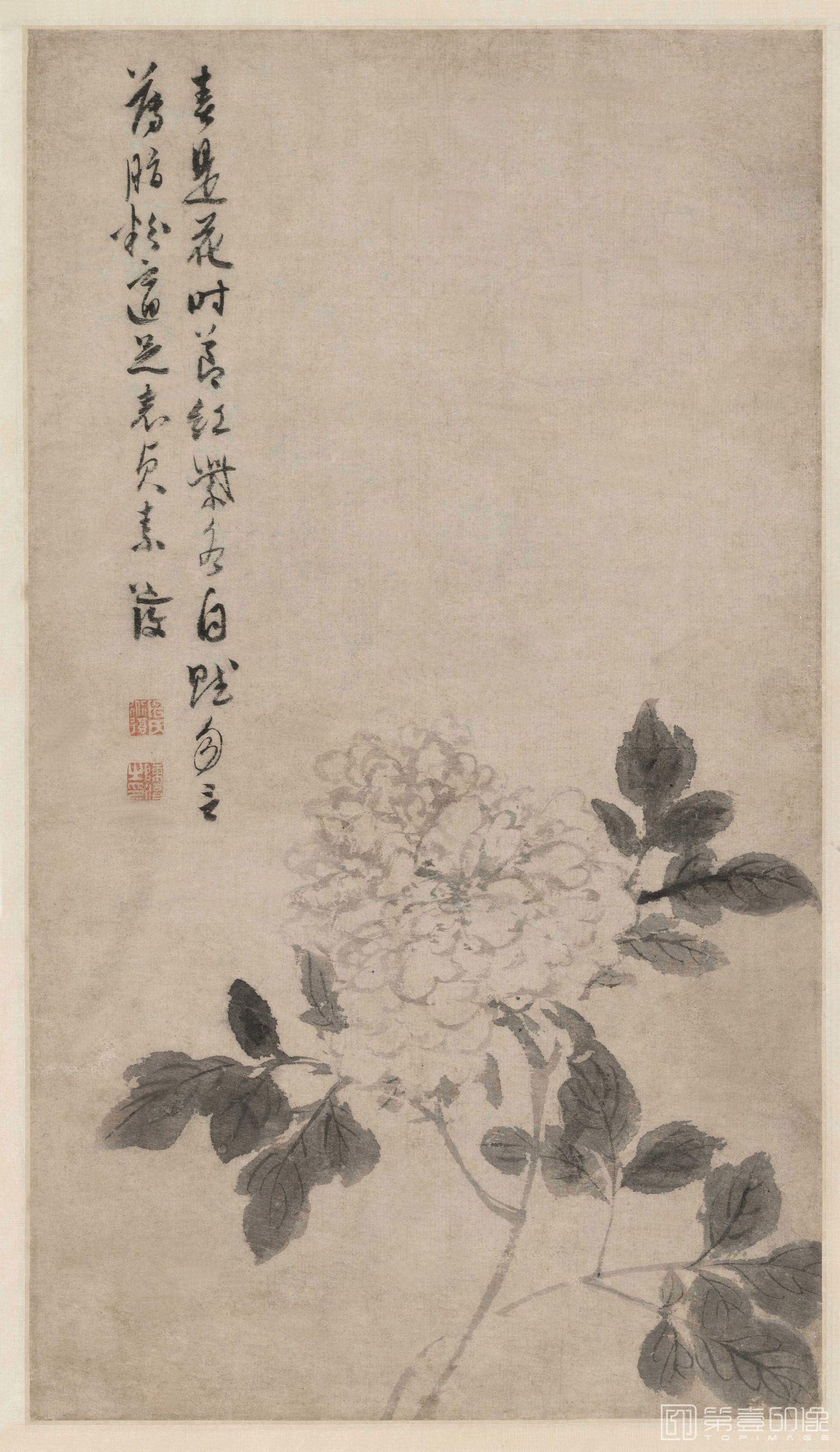 国画-牡丹花卉图纸本(54.8x30.8)