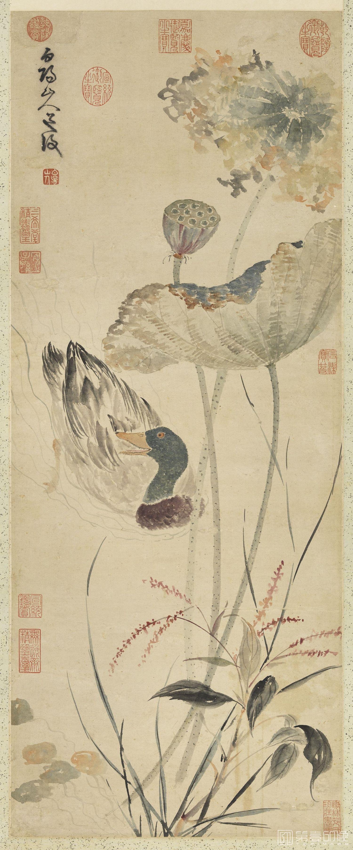 国画-秋塘花鸭轴-52