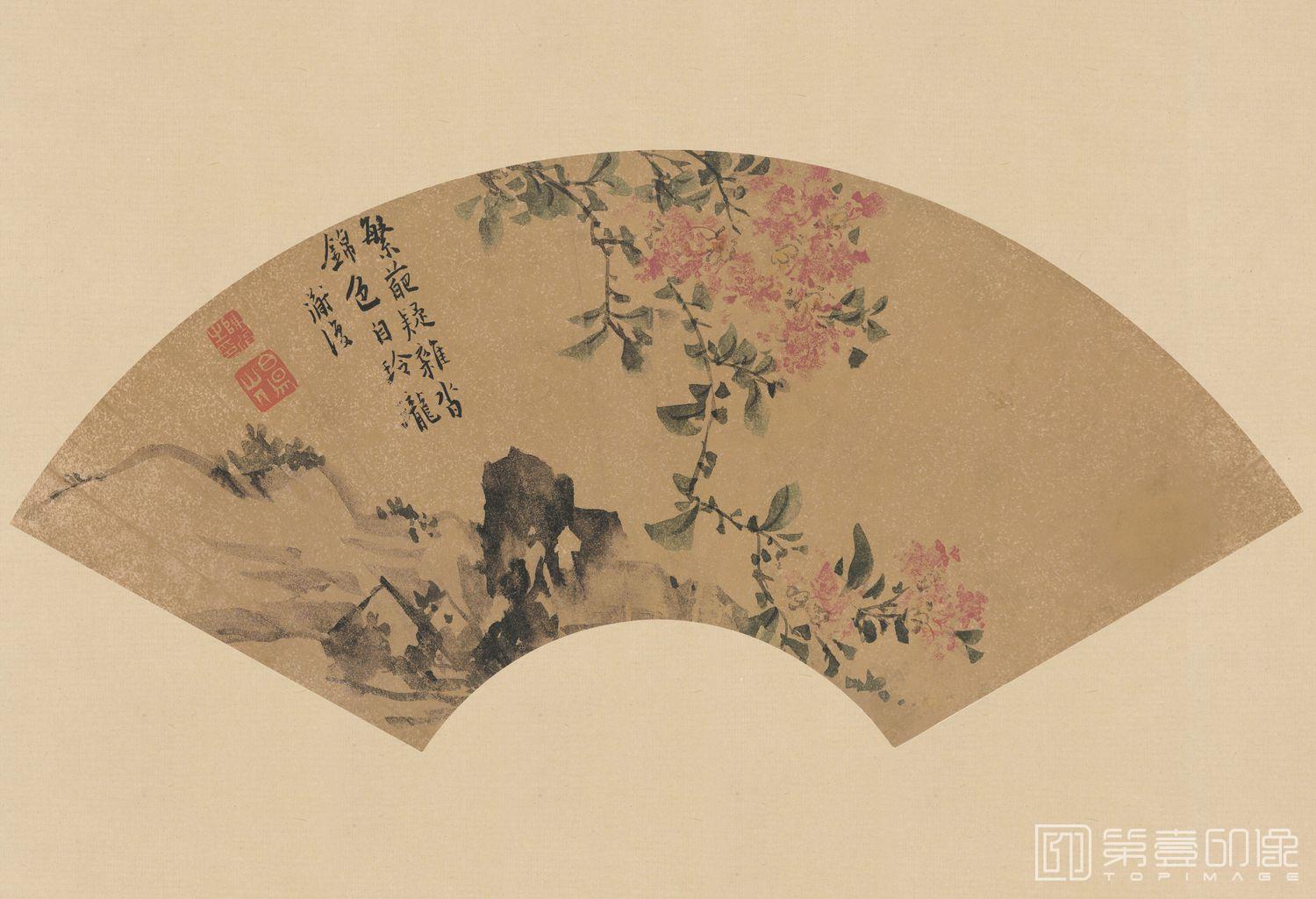 国画-紫薇扇面