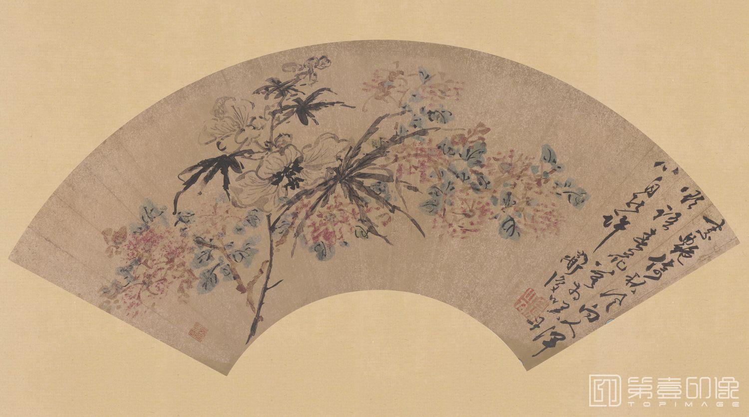 国画-花卉扇面
