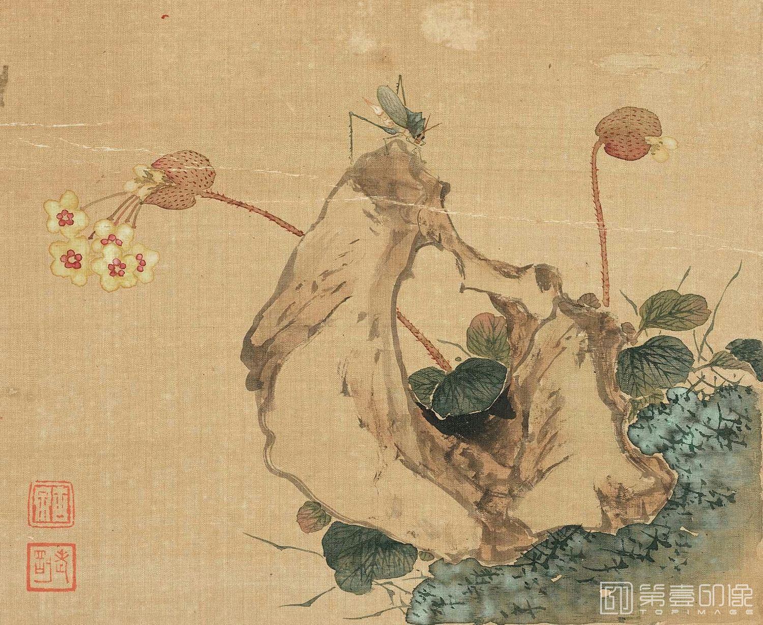 国画-花卉奇石册-十二开-10